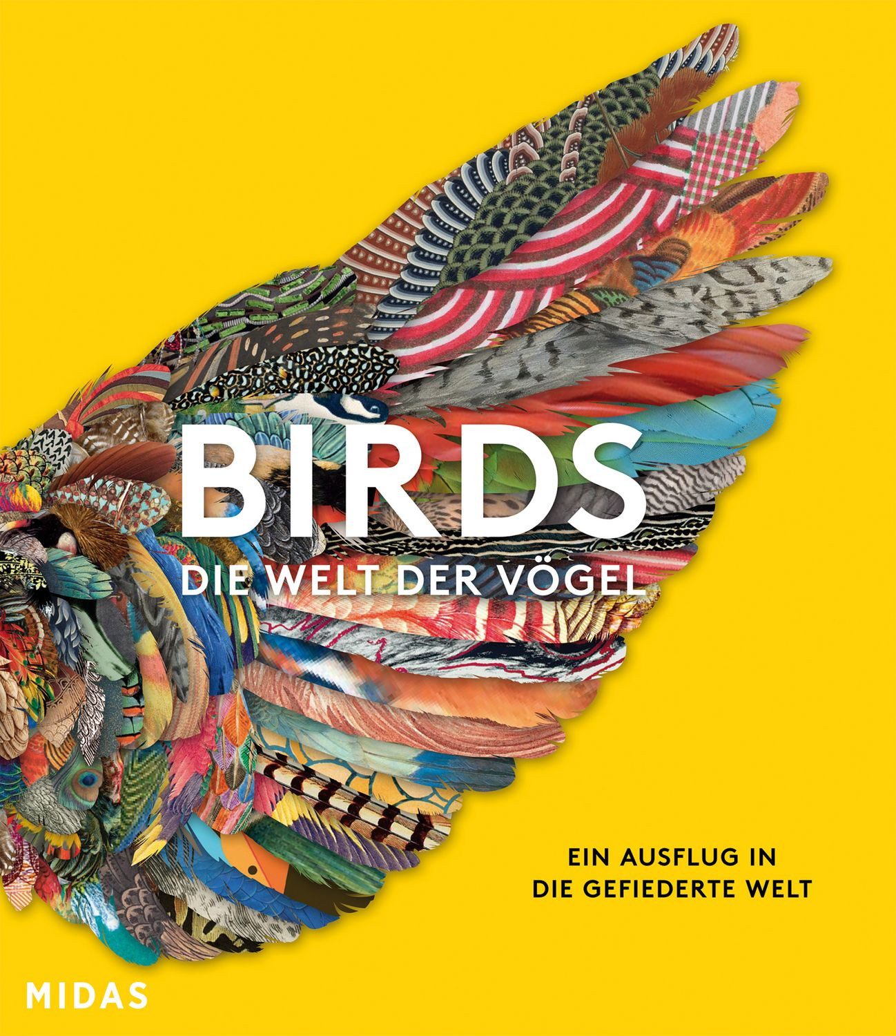 BIRDS - Die Welt der Vögel / Katrina van Grouw