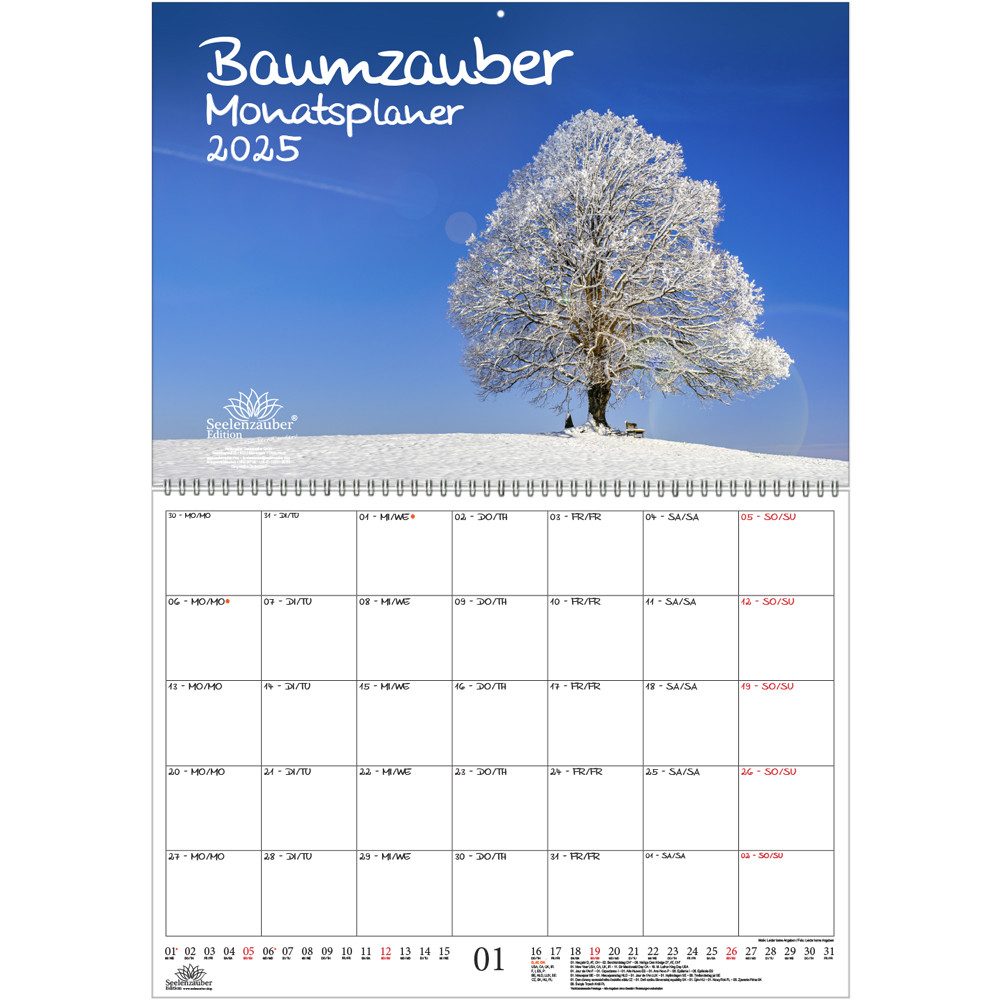 Seelenzauber Wandkalender Baumzauber Wand Planer Kalender für 2025 DIN