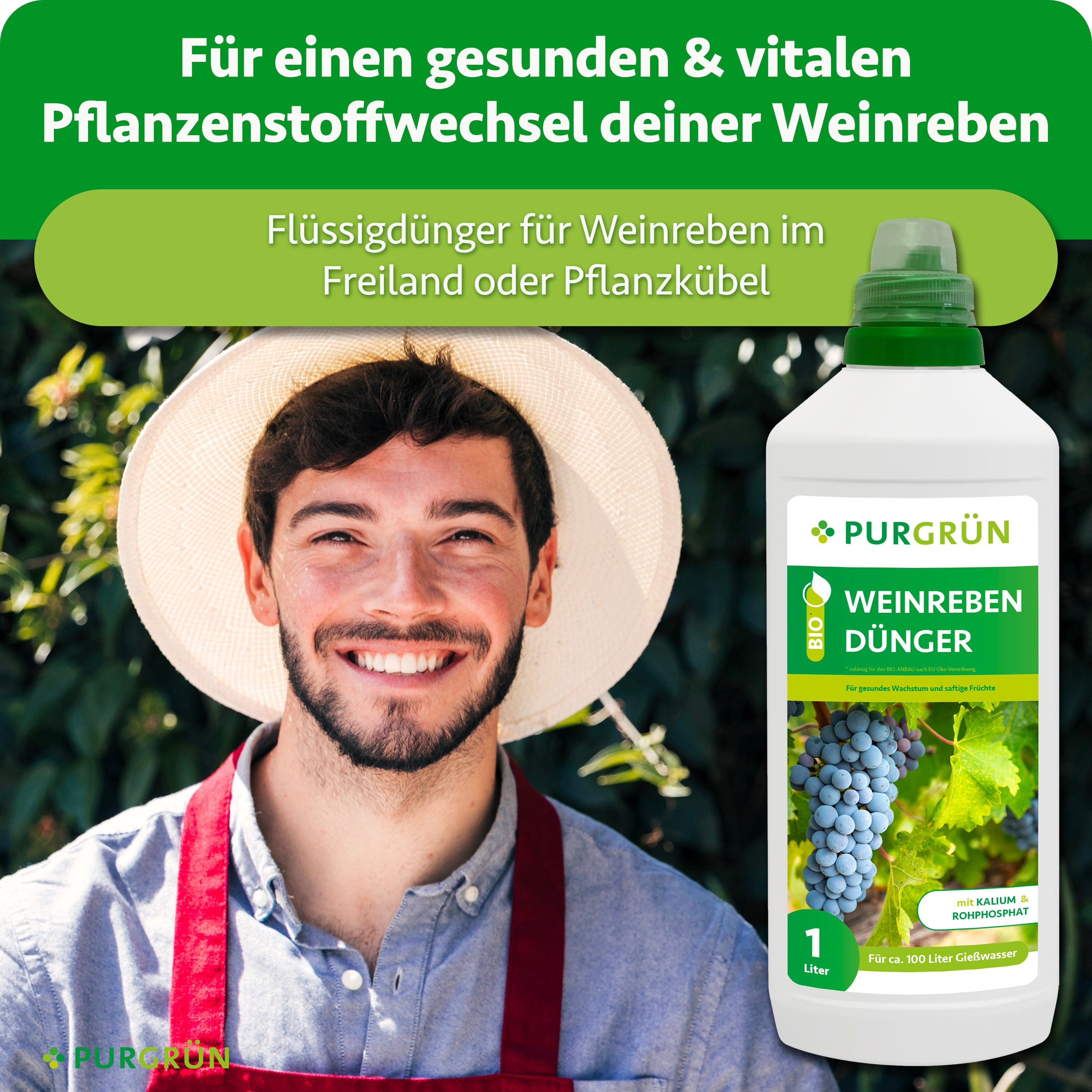Purgrün Obstdünger Bio Weinreben Dünger, NPK 3+2+6, Kalium, 1 Liter, Flüssigdünger, 1-St., 1 Liter – Bild 2 von 5