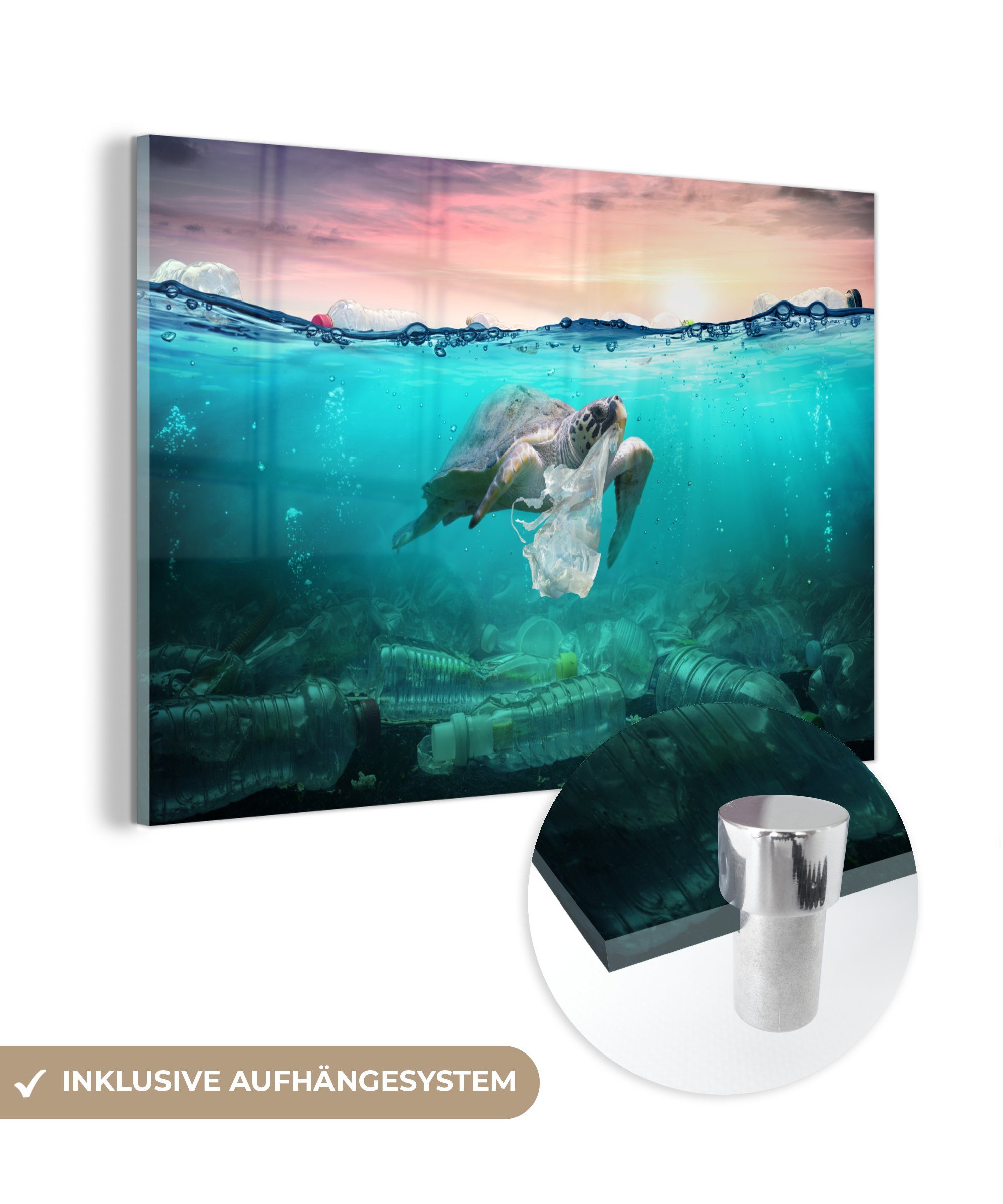 MuchoWow Acrylglasbild Schildkröte - Meer - Sonne, (1 St), Glasbilder - Bilder auf Glas Wandbild - Foto auf Glas - Wanddekoration | Bilder