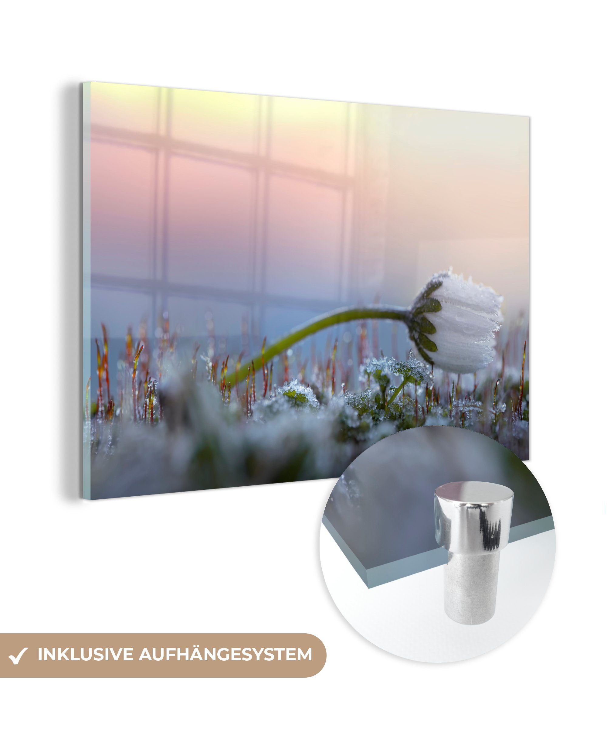 Kälte, - (1 & Blume Acrylglasbild Herbst Wohnzimmer Schlafzimmer St), Acrylglasbilder MuchoWow -