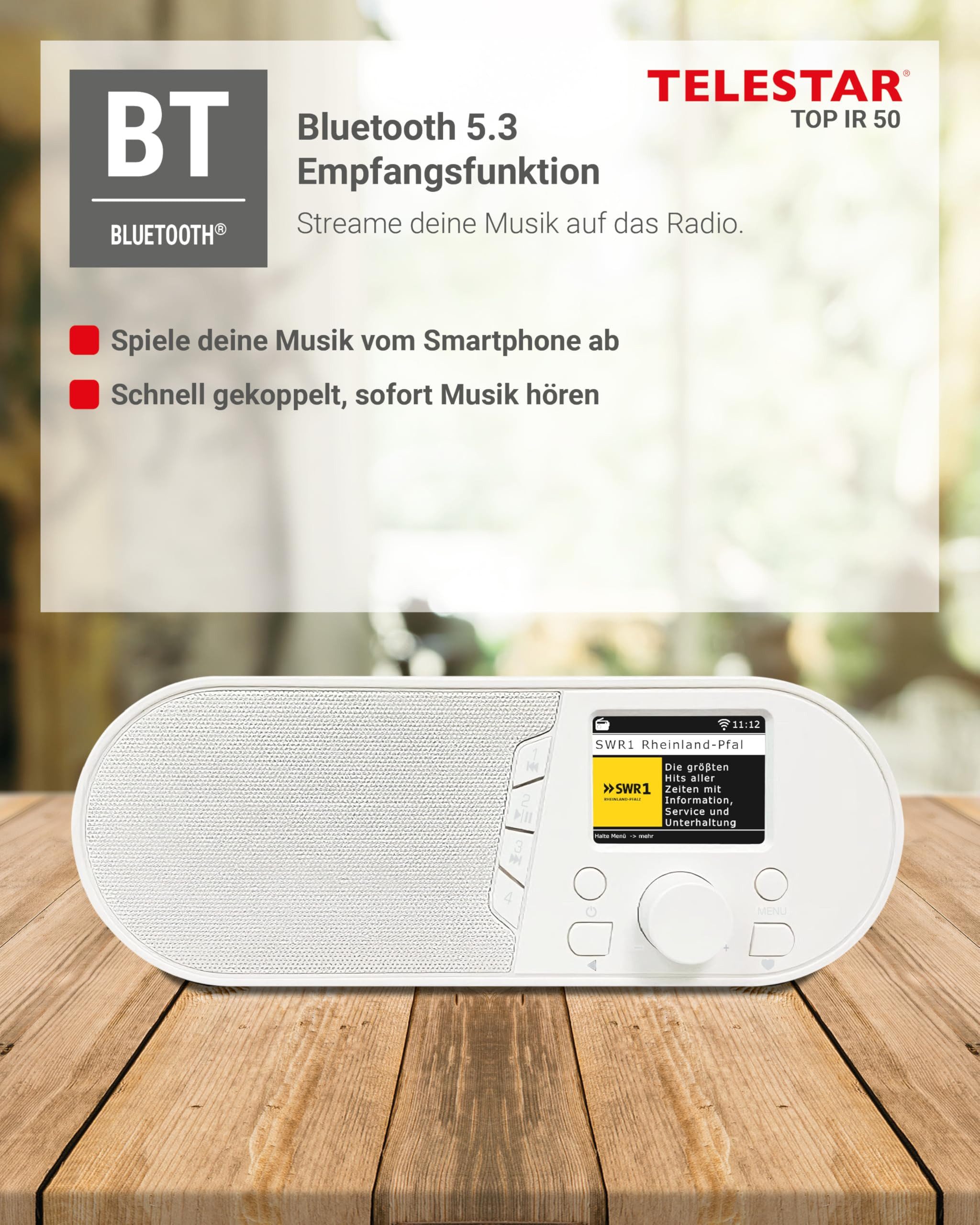 TELESTAR TOP IR 50 Radio (Bluetooth, USB-C, Wecker, App-Steuerung, Farbdisplay)