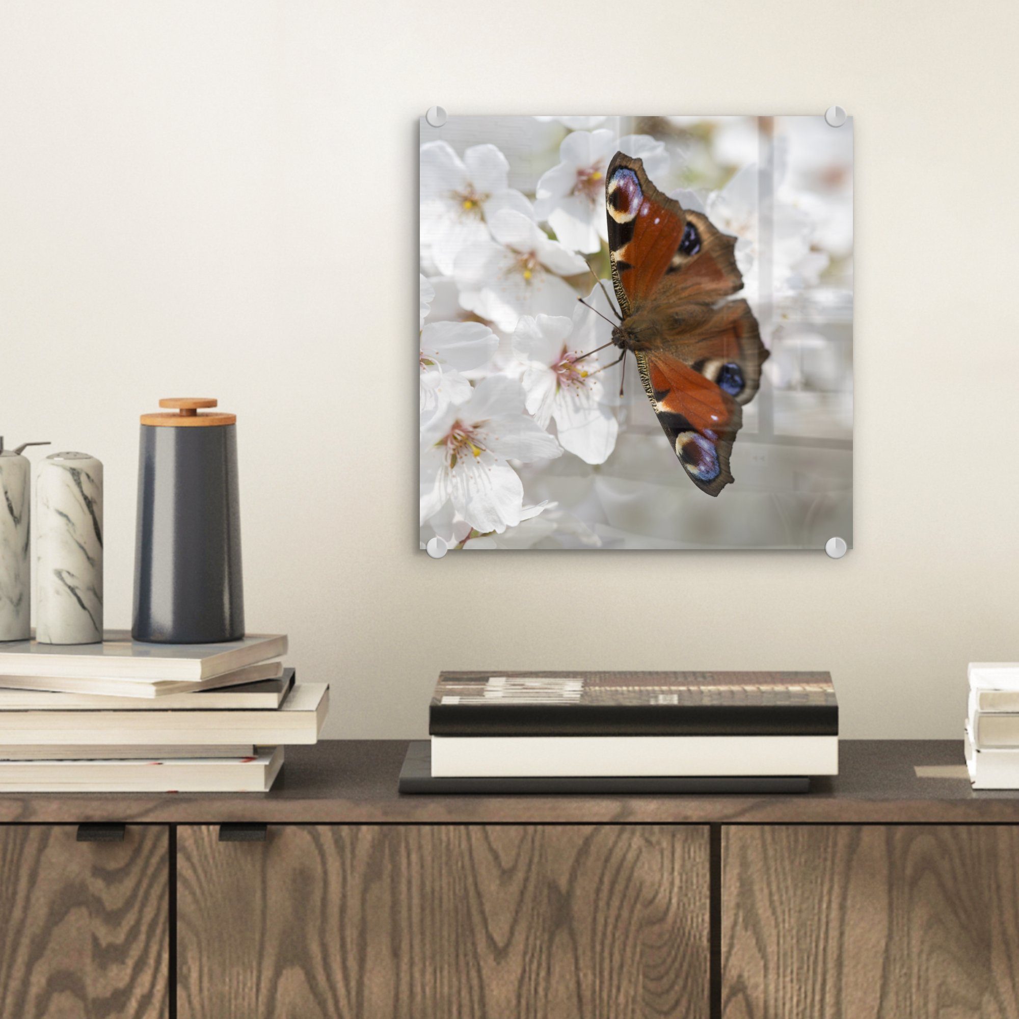 Kirschblüte, auf - - auf MuchoWow Glasbilder auf Acrylglasbild Foto Wandbild Schmetterling Tagpfauenauge - Bilder Wanddekoration St), Glas (1 Glas