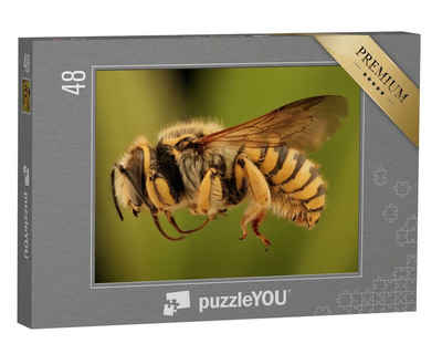 puzzleYOU Puzzle Makroaufnahme: fliegende Biene von der Seite, 48 Puzzleteile, puzzleYOU-Kollektionen Bienen