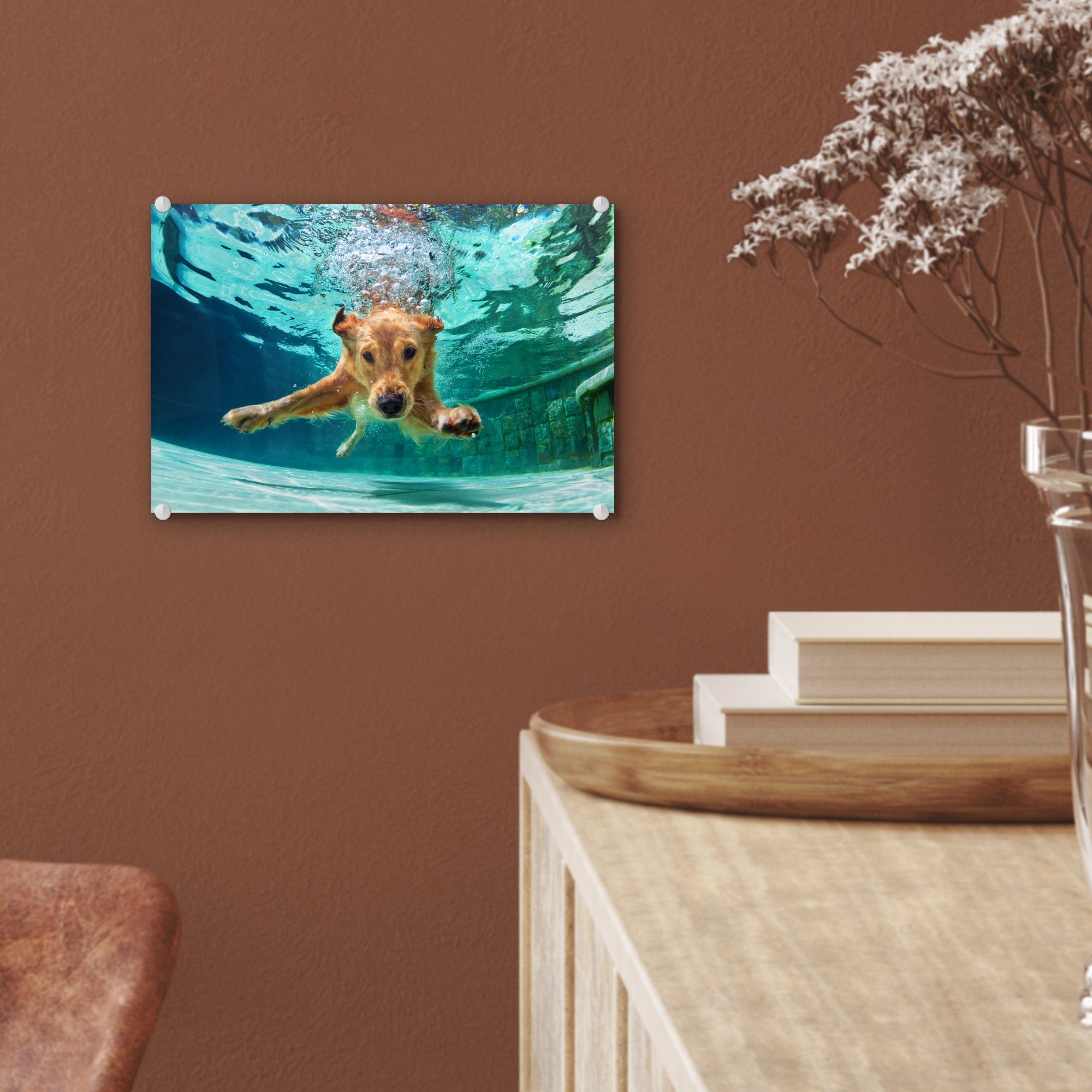 auf Glasbilder Glas - Wasser, Acrylglasbild MuchoWow St), Wandbild Glas - (1 auf - Pool Bilder - Wanddekoration Hund - Foto