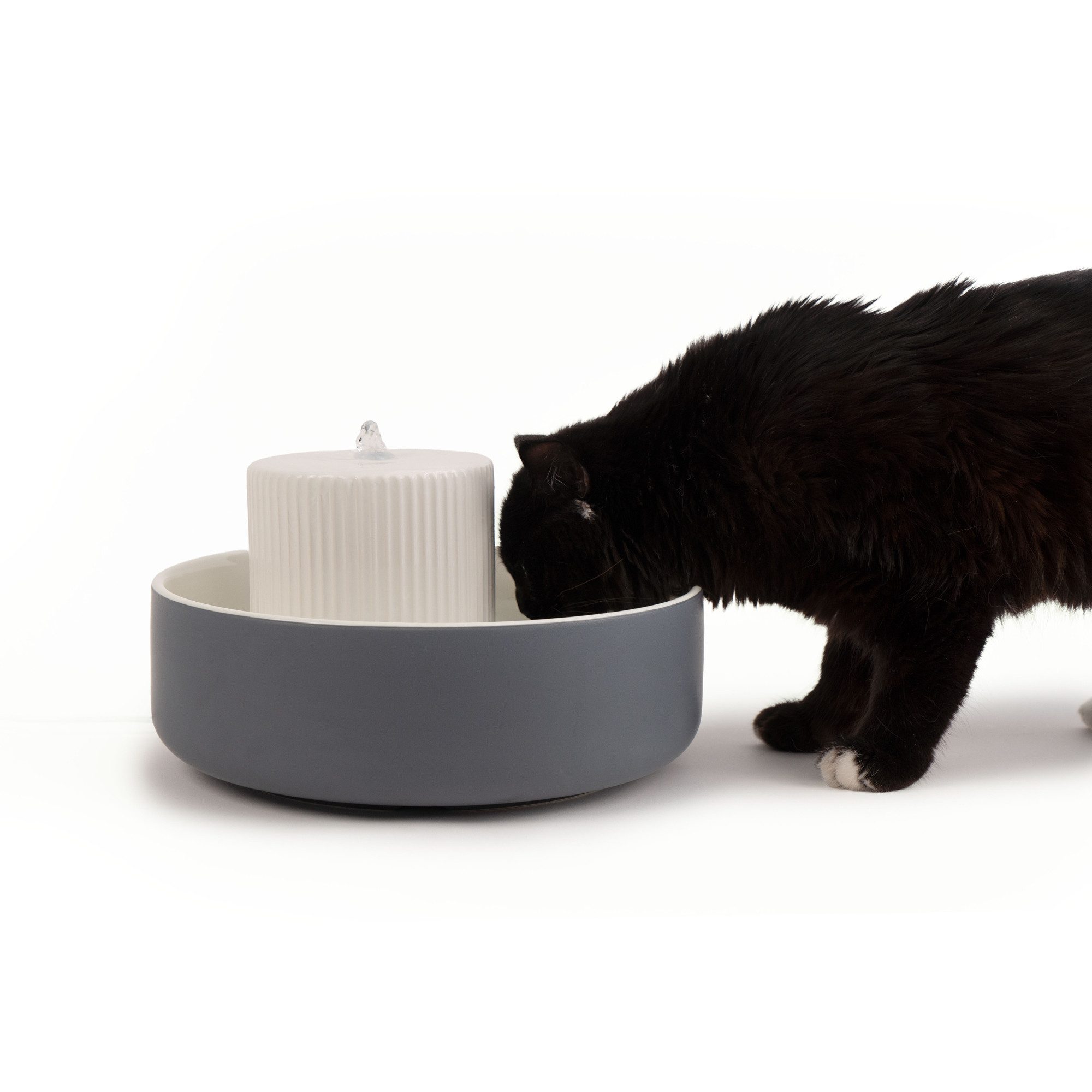 LucyBalu Trinkbrunnen TREVI Trinkbrunnen für Katzen günstig online kaufen