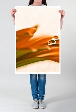 Sinus Art Poster Naturfotografie 60x90cm Poster Orange Blütenblätter im Detail