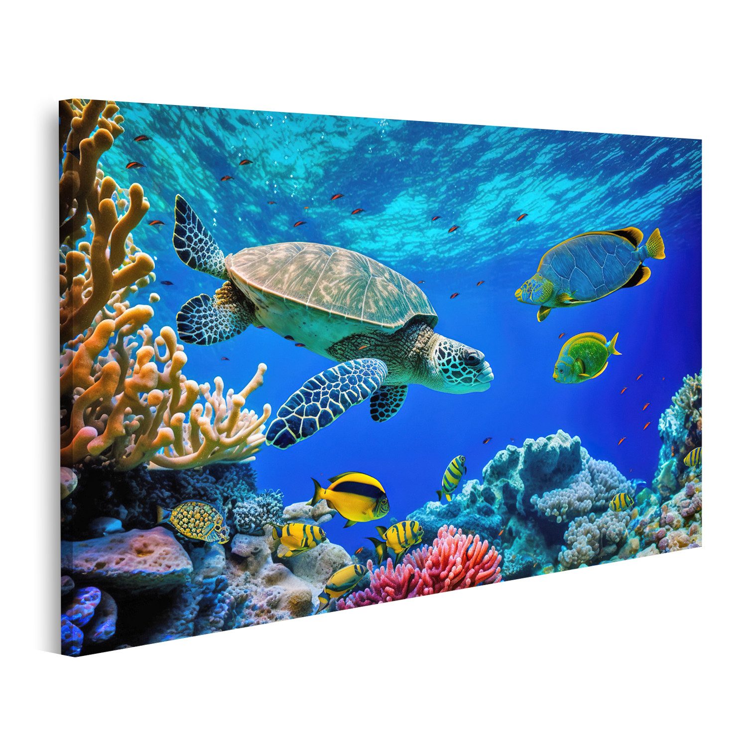 islandburner Leinwandbild Korallenriff Wilde Seeschildkröte Fisch günstig online kaufen