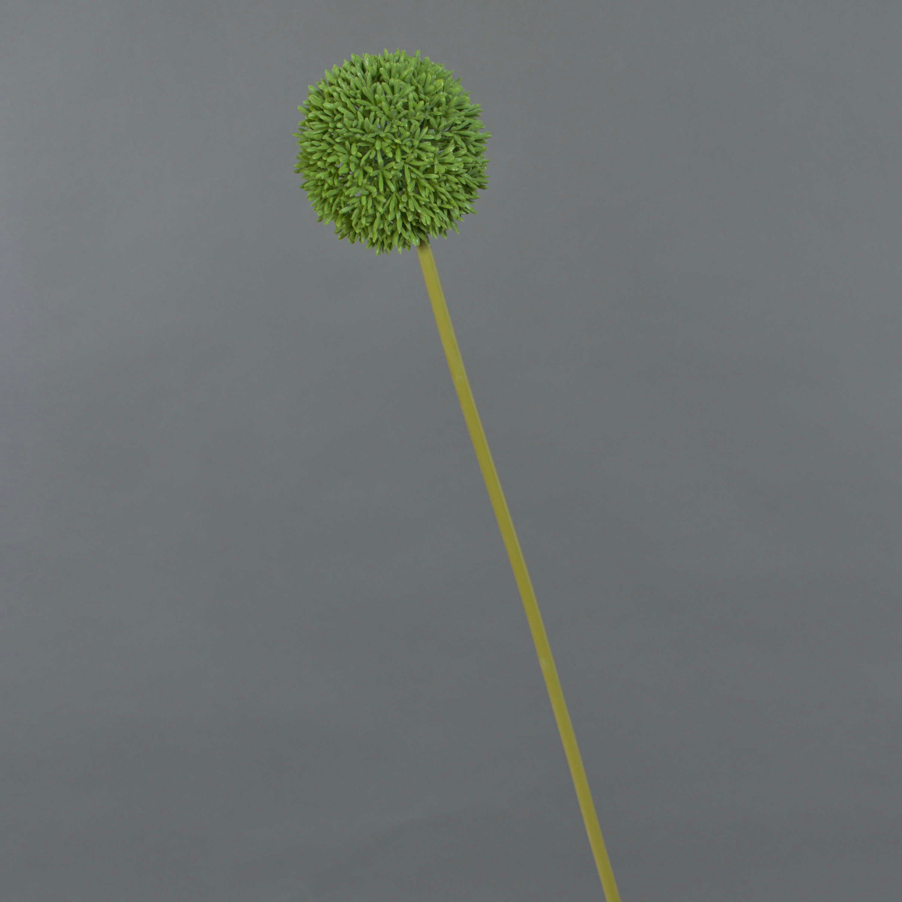 Kunstblume Künstliche Blume Allium BAILIN, grün, 65 cm Allium, artplants, Höhe 65.0 cm