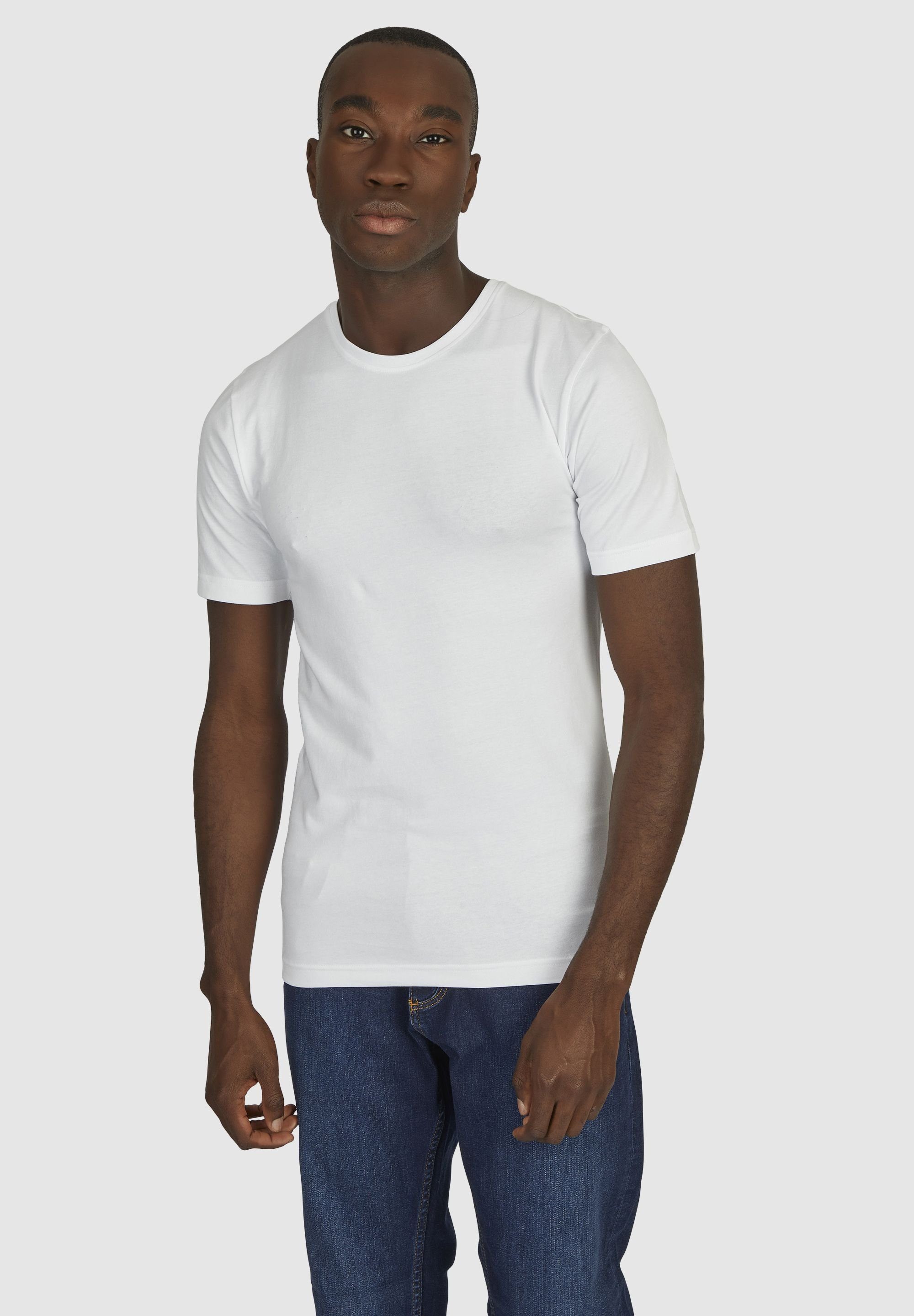 Hechter PARIS HECHTER T-Shirt Daniel (2-tlg)