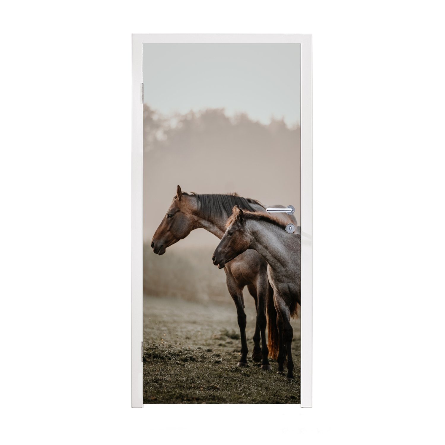 MuchoWow Türtapete Pferde - Nebel - Wiese, Matt, bedruckt, (1 St), Fototapete für Tür, Türaufkleber, 75x205 cm