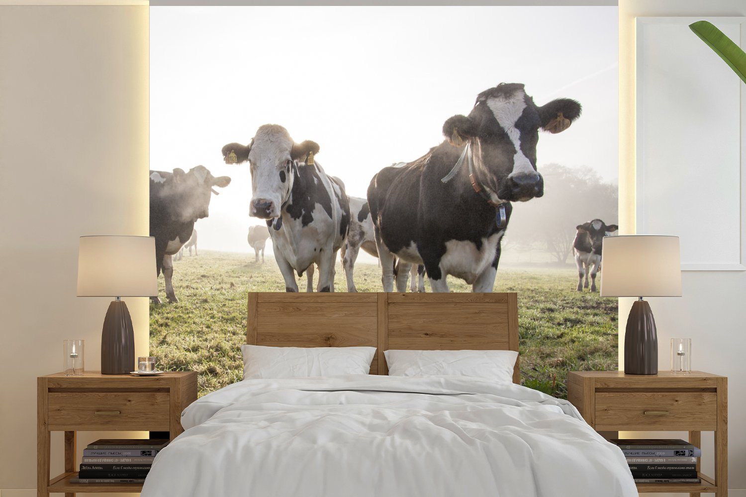 MuchoWow Fototapete Kühe - Licht - Gras - Tiere, Matt, bedruckt, (4 St), Vliestapete für Wohnzimmer Schlafzimmer Küche, Fototapete