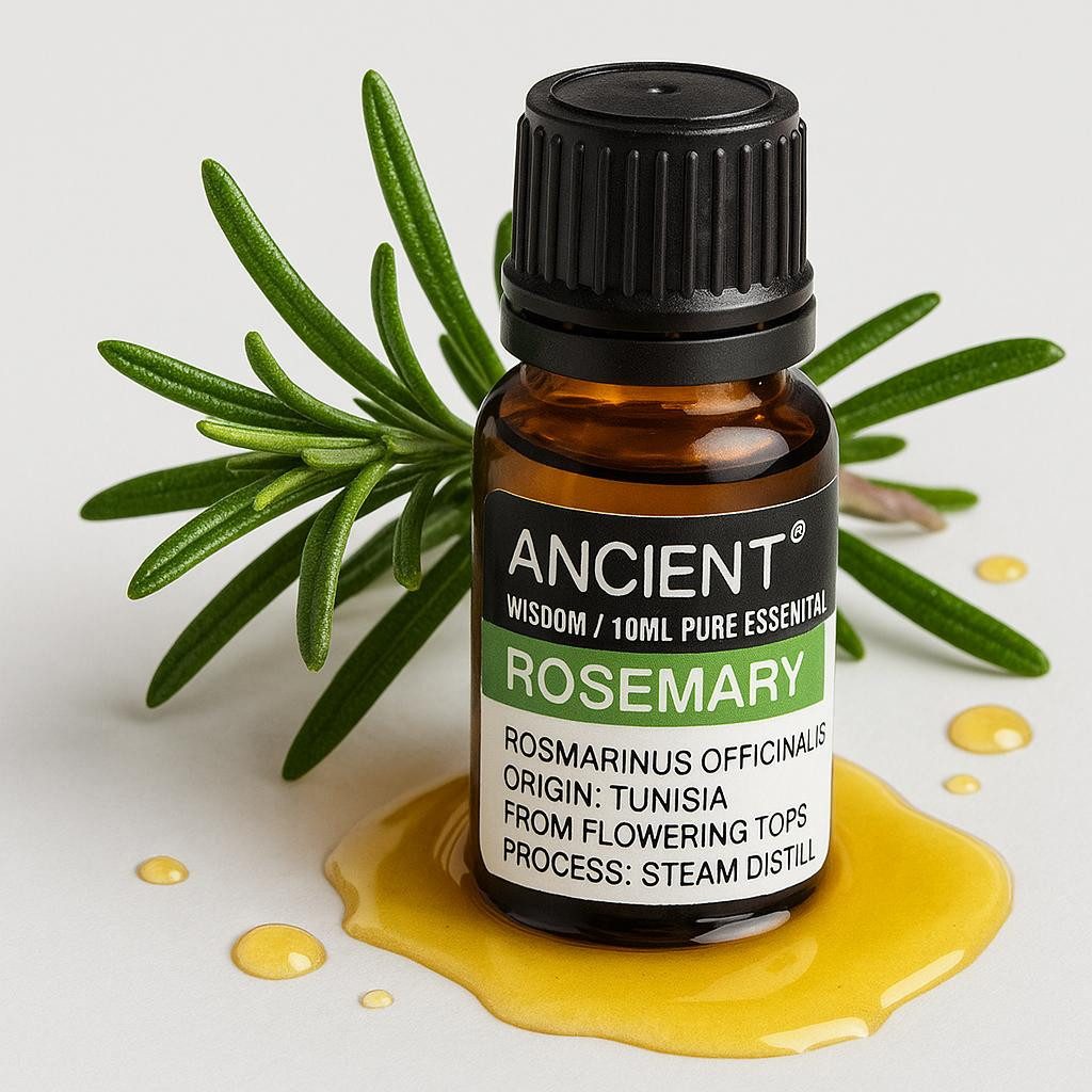 Bali-Homedecor Duftlampe Ätherisches Rosmarinöl 10ml Rosmarin günstig online kaufen