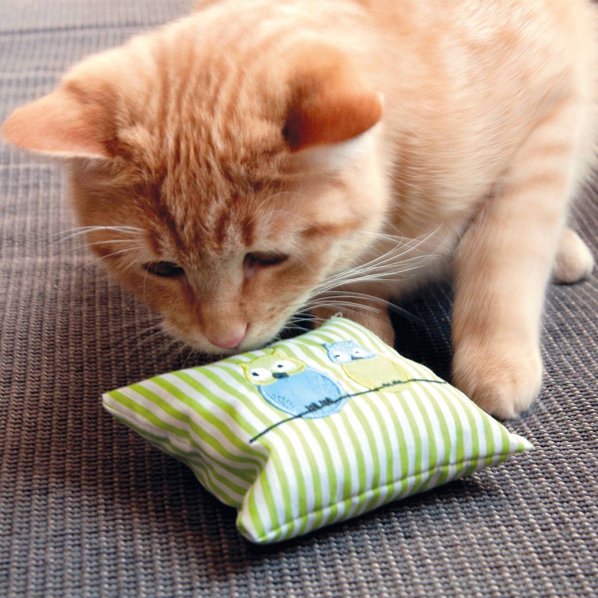 Aumüller Raschelkissen Katzenspielkissen mit Katzenminzefüllung, Leander günstig online kaufen