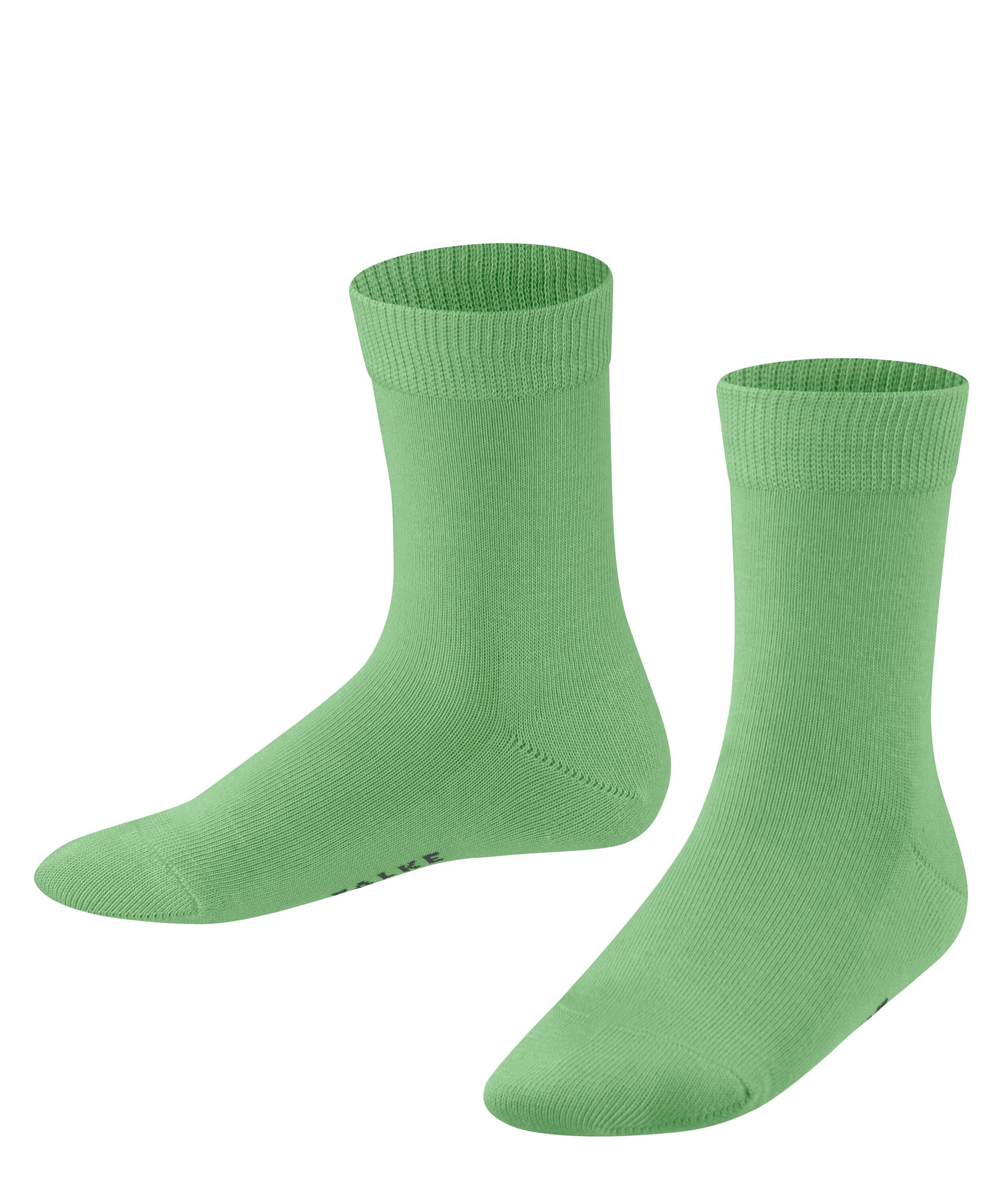 Socken (7486) Family (1-Paar) lizzardgreen FALKE