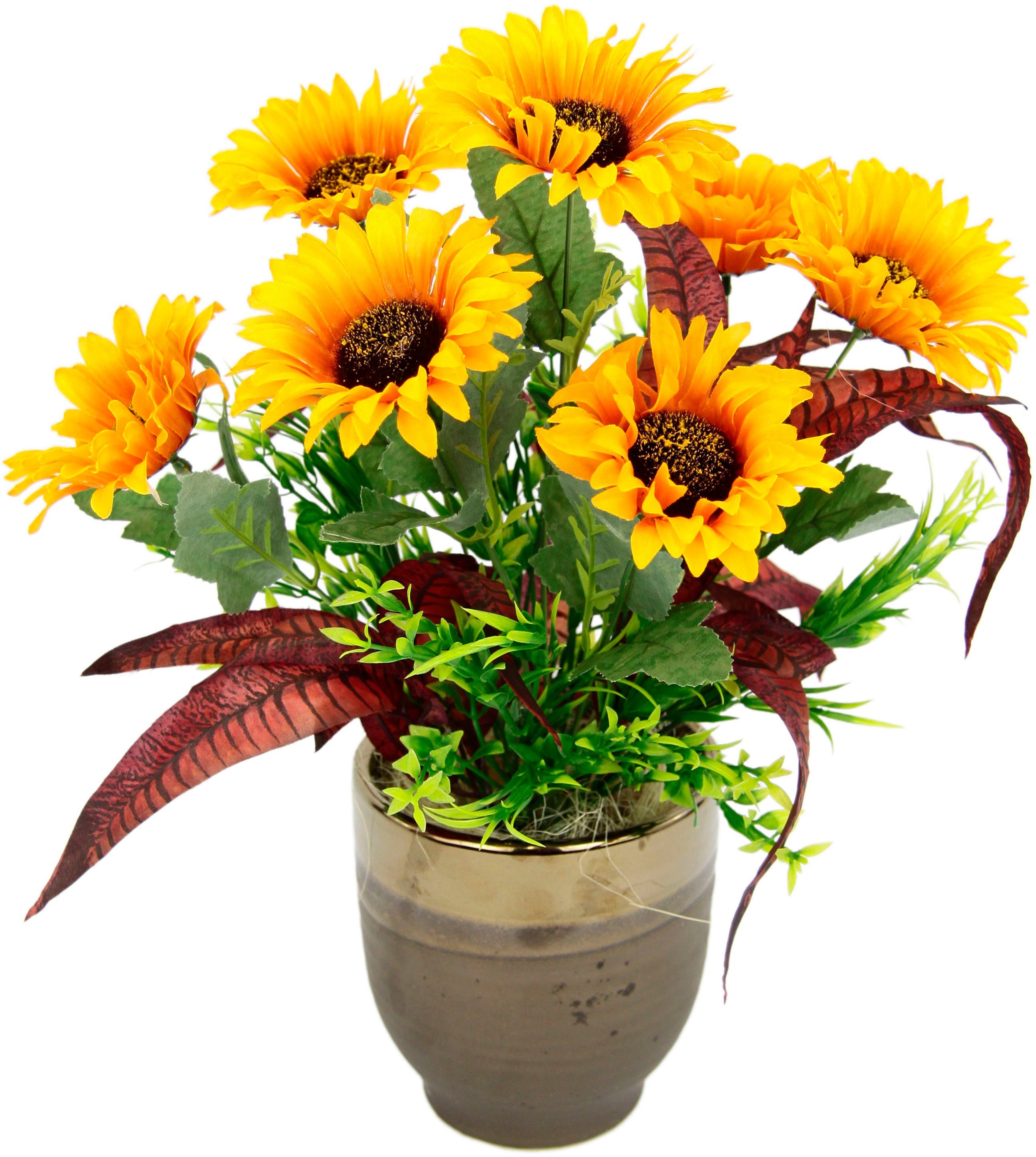 aus Sonnenblumen Keramik Höhe 40 Topf cm, Im I.GE.A., Sonnenblume, Gestecke