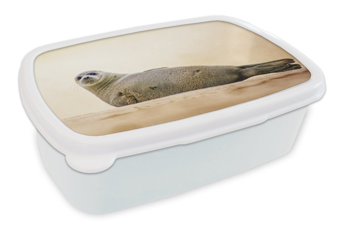 Mädchen Brotbox für Erwachsene, und und MuchoWow - Kunststoff, Island, Strand Jungs weiß Kinder - Lunchbox Long (2-tlg), für Brotdose, Seal