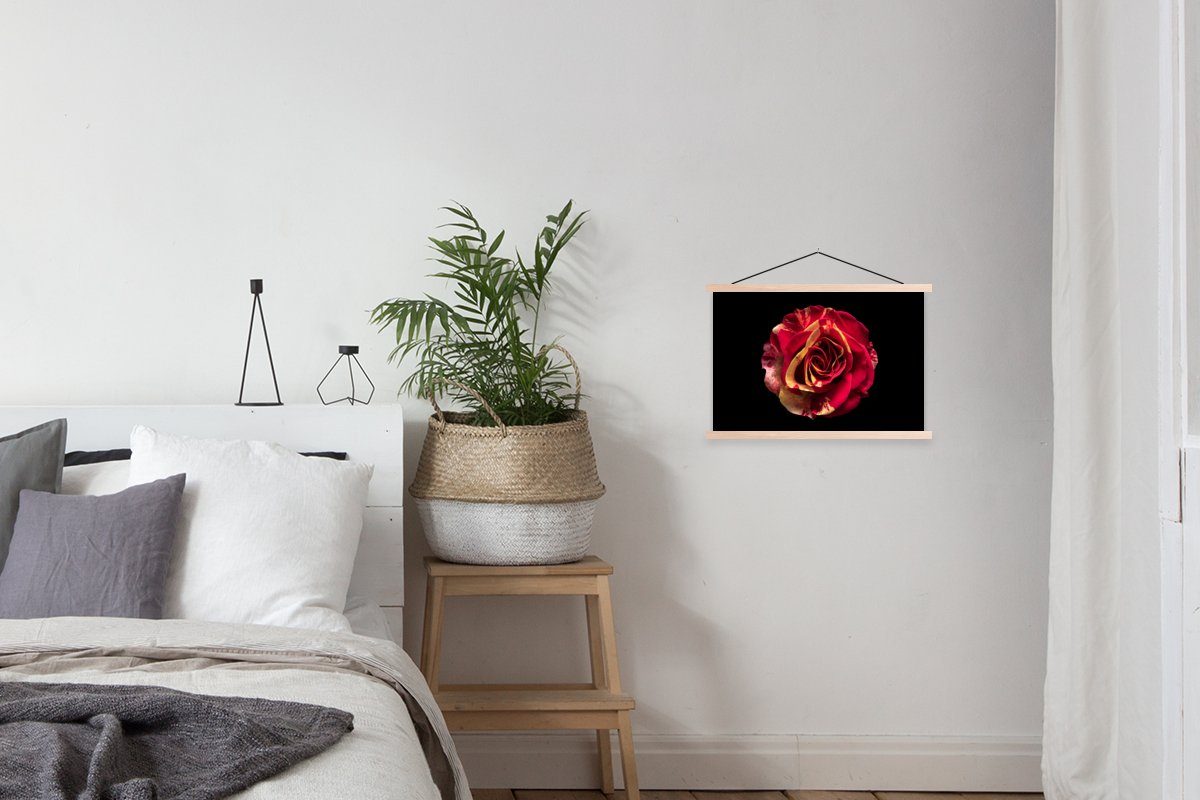 Magnetisch Wohnzimmer, - Bilderleiste, Blume braun (1 - St), Textilposter für braun Posterleiste, Rot Schwarz, MuchoWow Poster | Rose -