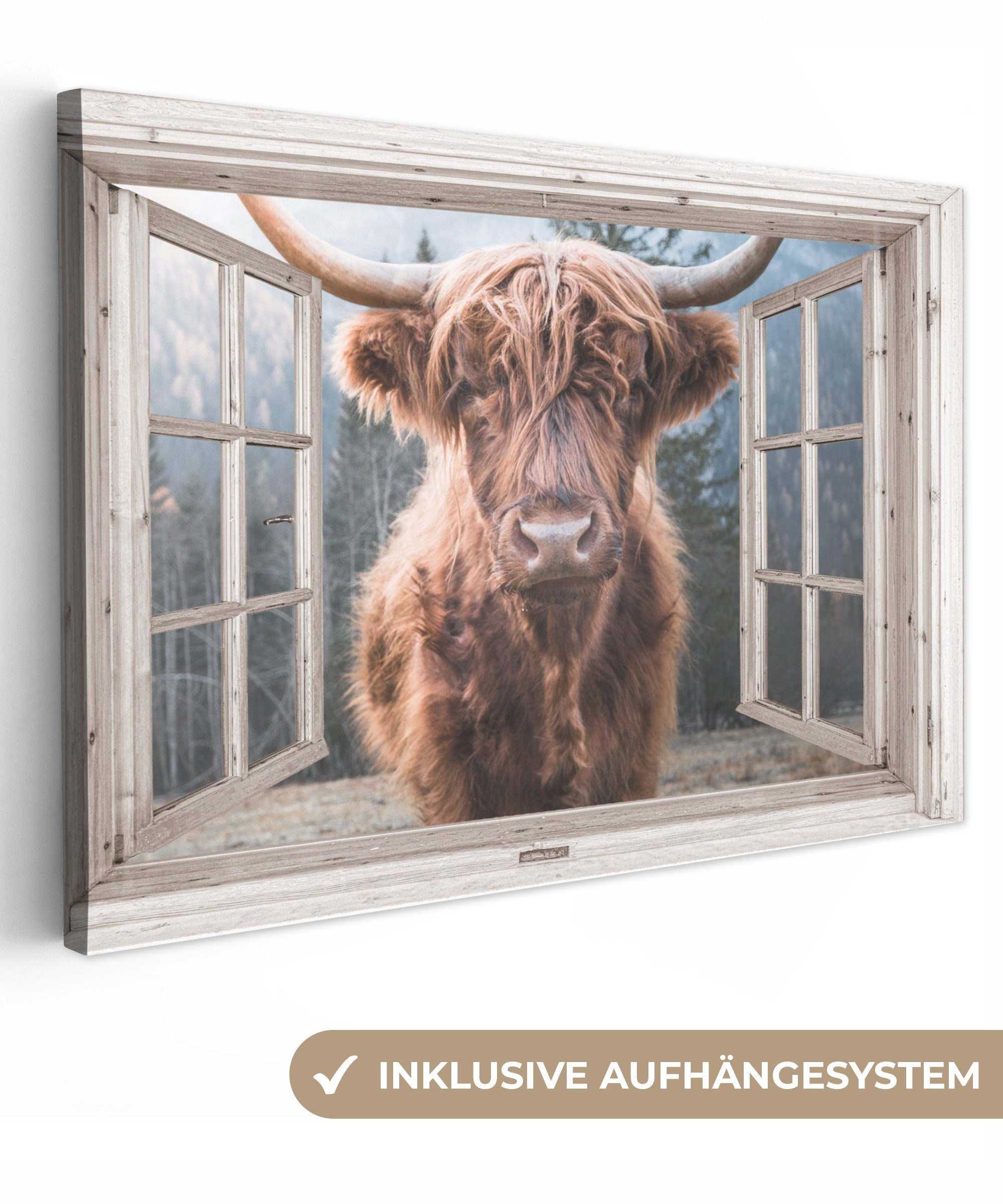 OneMillionCanvasses® Leinwandbild Schottischer Highlander - Kuh - Berg - Au günstig online kaufen