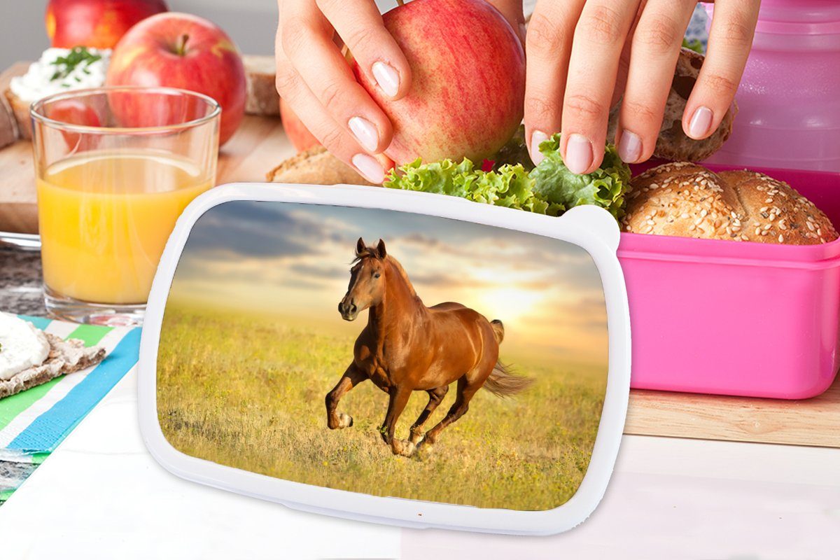 Brotbox - rosa Sonne - Mädchen, für Gras - Kinder, Kunststoff Pferd Tier, MuchoWow Kunststoff, Brotdose Lunchbox Erwachsene, Snackbox, (2-tlg),