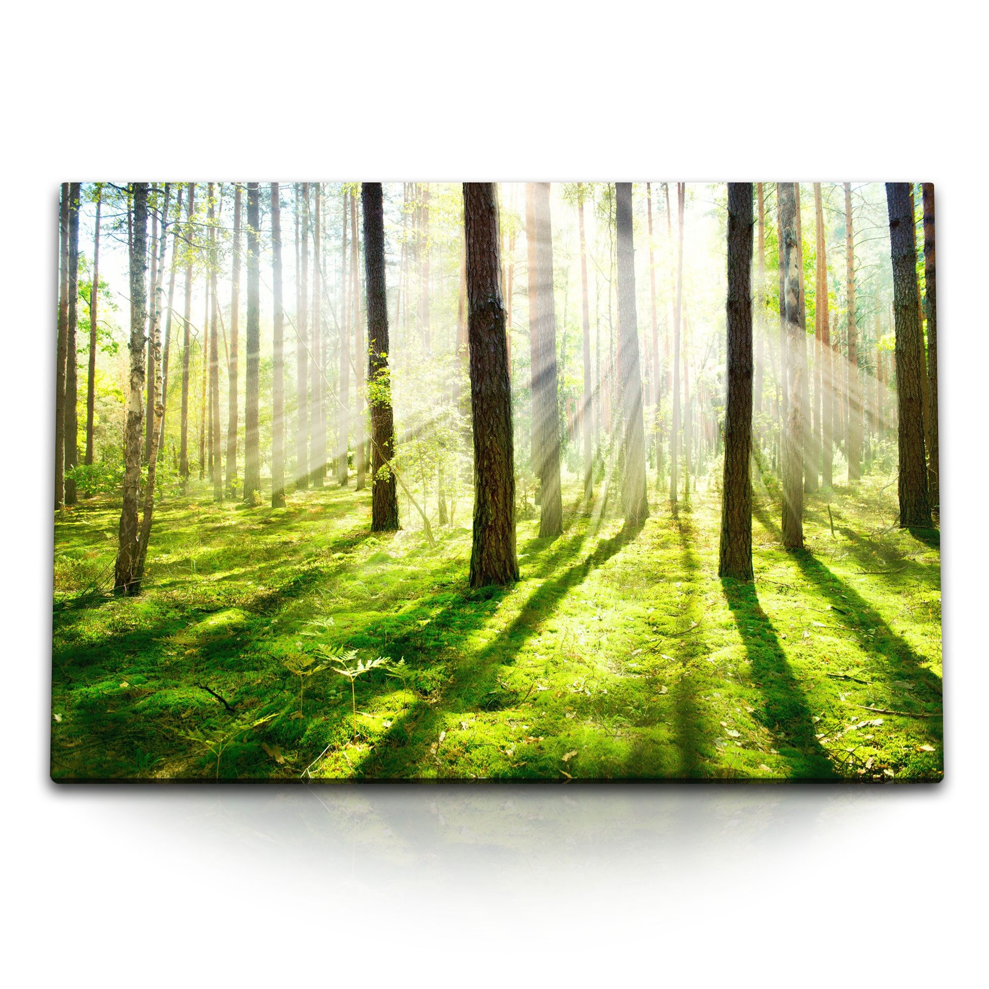 Leinwandbild 120x80cm Wandbild auf Leinwand Wald Bäume Natur Grün Sonnenschein stra