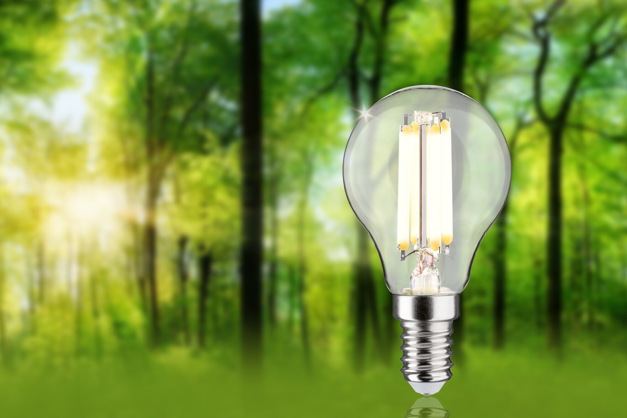 Paulmann LED-Leuchtmittel Eco-Line Filament 230V LED günstig online kaufen