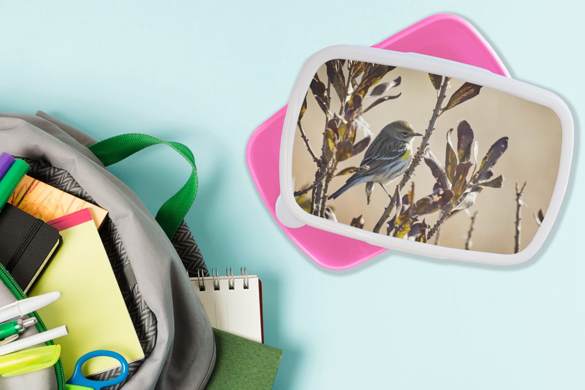 Snackbox, Erwachsene, Lunchbox Brotdose Blättern, Mädchen, MuchoWow rosa (2-tlg), zwischen Kinder, Kunststoff Vogel für Zweig mit Kunststoff, einem Brotbox