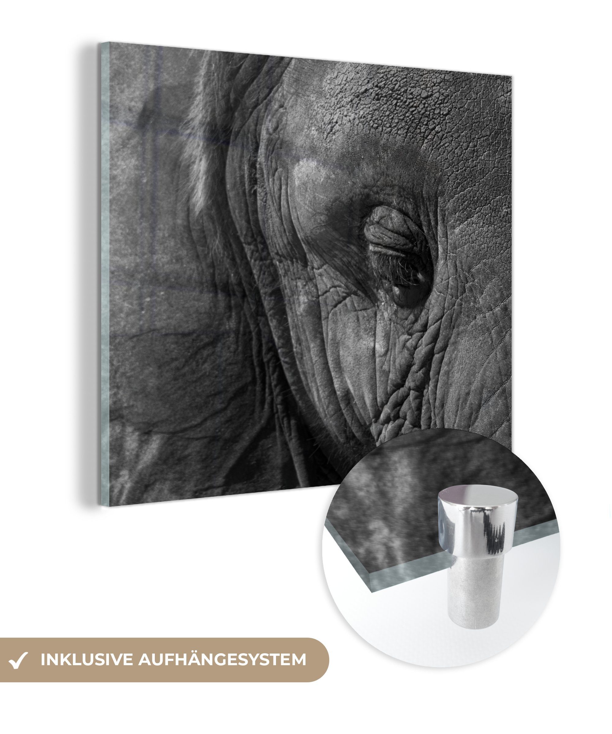 MuchoWow Acrylglasbild Elefant - Tiere - Nahaufnahme - Schwarz und weiß, (1 St), Glasbilder - Bilder auf Glas Wandbild - Foto auf Glas - Wanddekoration