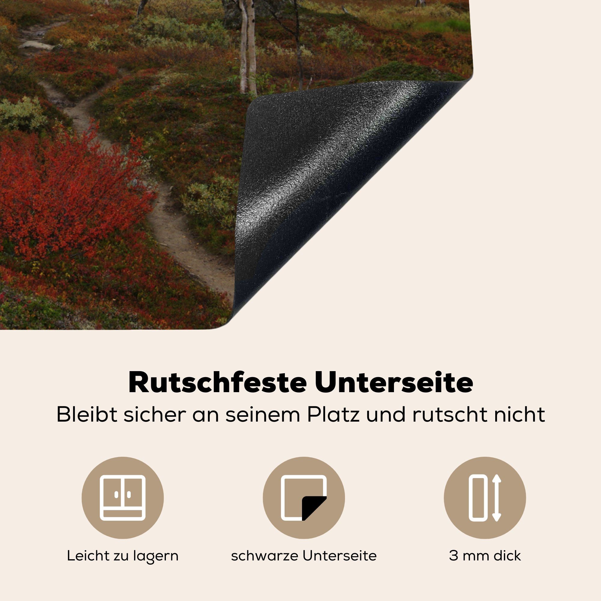 70x52 Vinyl, Arbeitsfläche Ceranfeldabdeckung Herbstlandschaft in MuchoWow Schweden, (1 des nutzbar, Padjelanta-Nationalparks cm, tlg), Die Herdblende-/Abdeckplatte Mobile