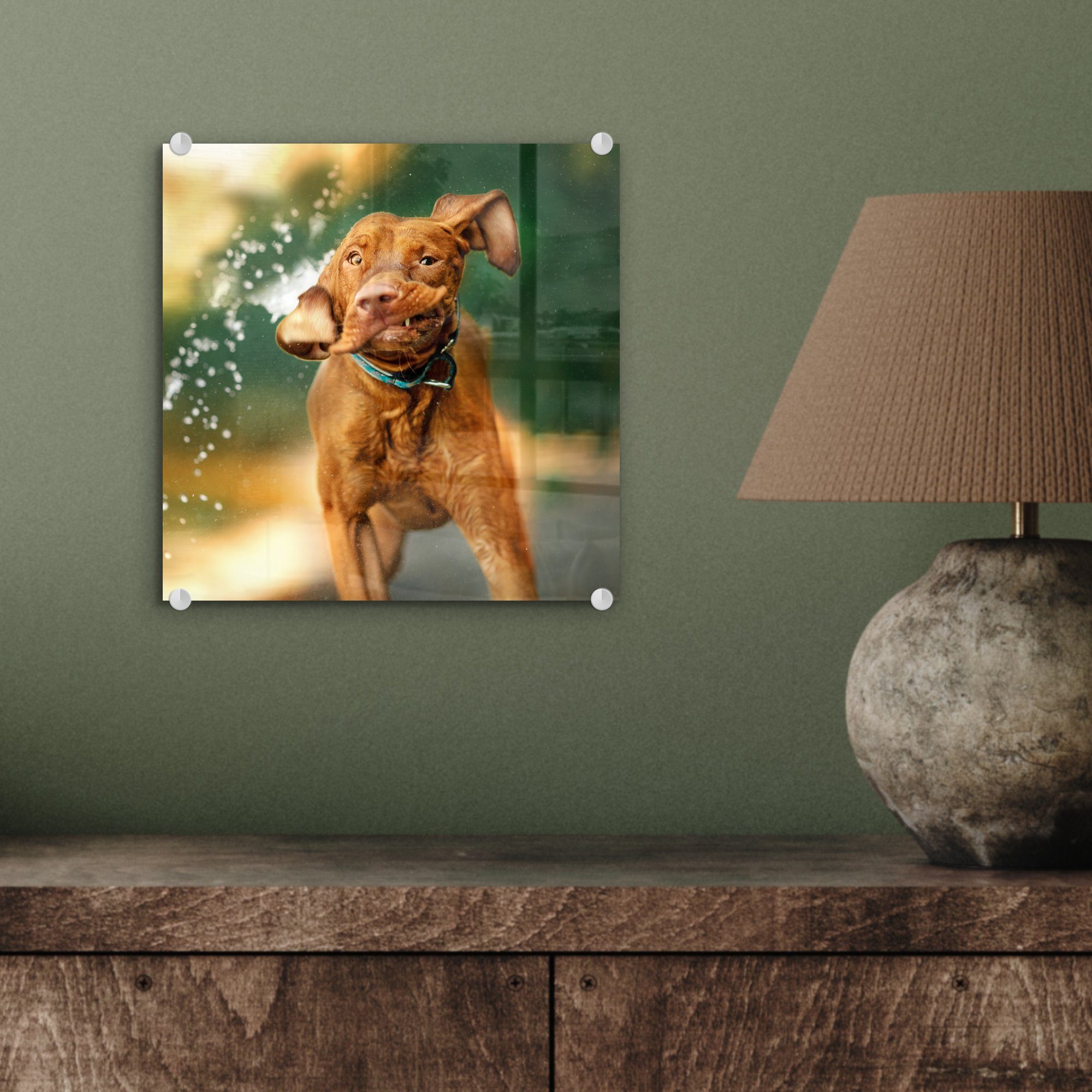 Glasbilder Glas auf Wandbild Bilder - St), Acrylglasbild Foto - MuchoWow Hund - Nass auf - - (1 Glas Wanddekoration Wasser,