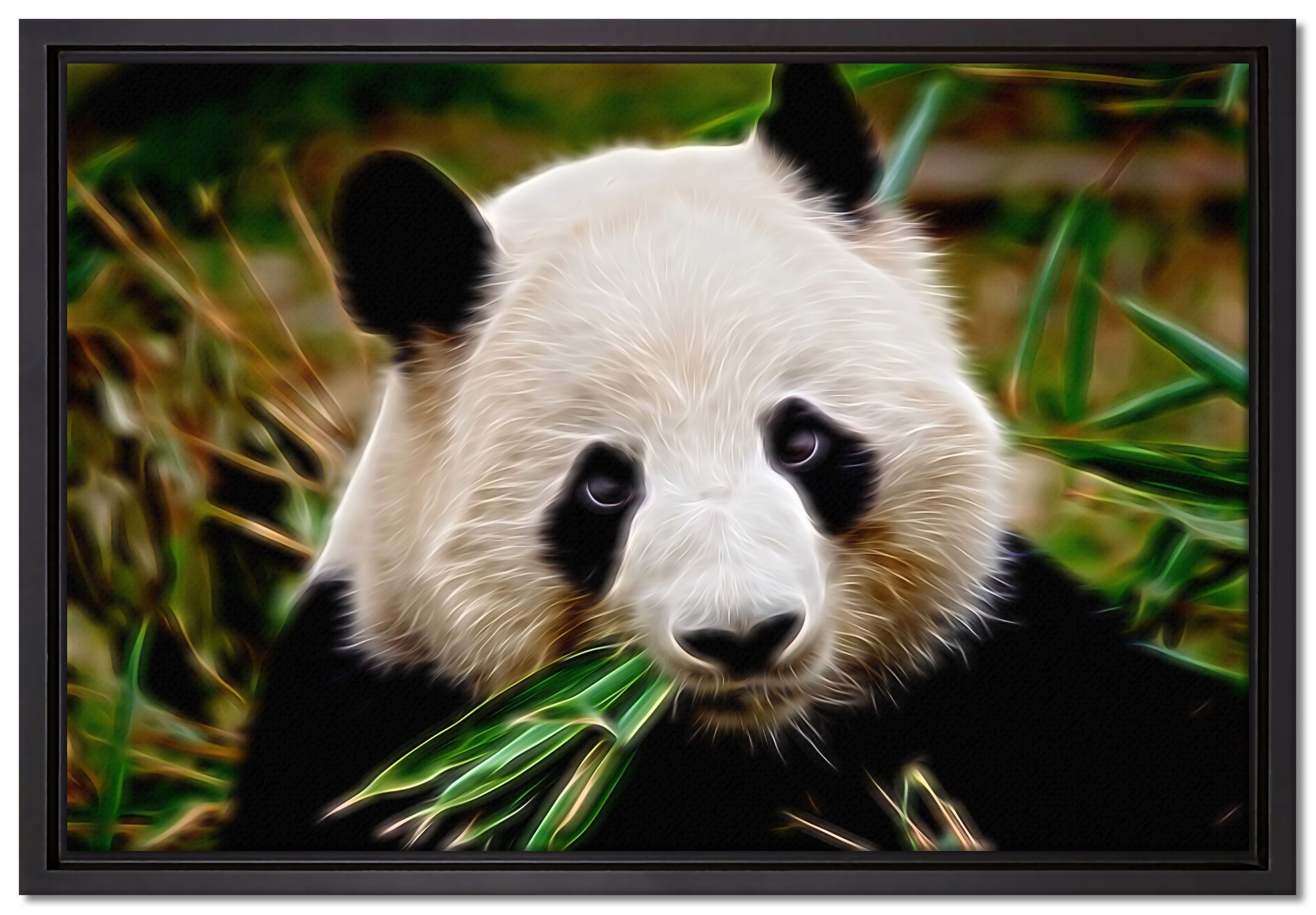 Pixxprint Leinwandbild Kuscheliger Panda frisst in Leinwandbild bespannt, St), gefasst, einem Schattenfugen-Bilderrahmen Bambus, Zackenaufhänger fertig (1 inkl. Wanddekoration