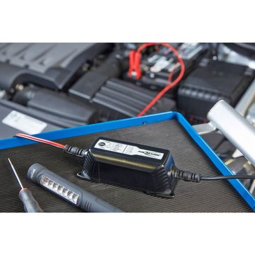 ANSMANN AG Blei Ladegerät ALCT 6-24/2 Autobatterie-Ladegerät (Akkutest, Auffrischen, Regenerieren)