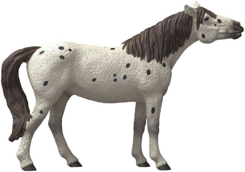 Schleich® Spielfigur HORSE CLUB, Knabstrupper Wallach (14916) – Bild 5 von 5