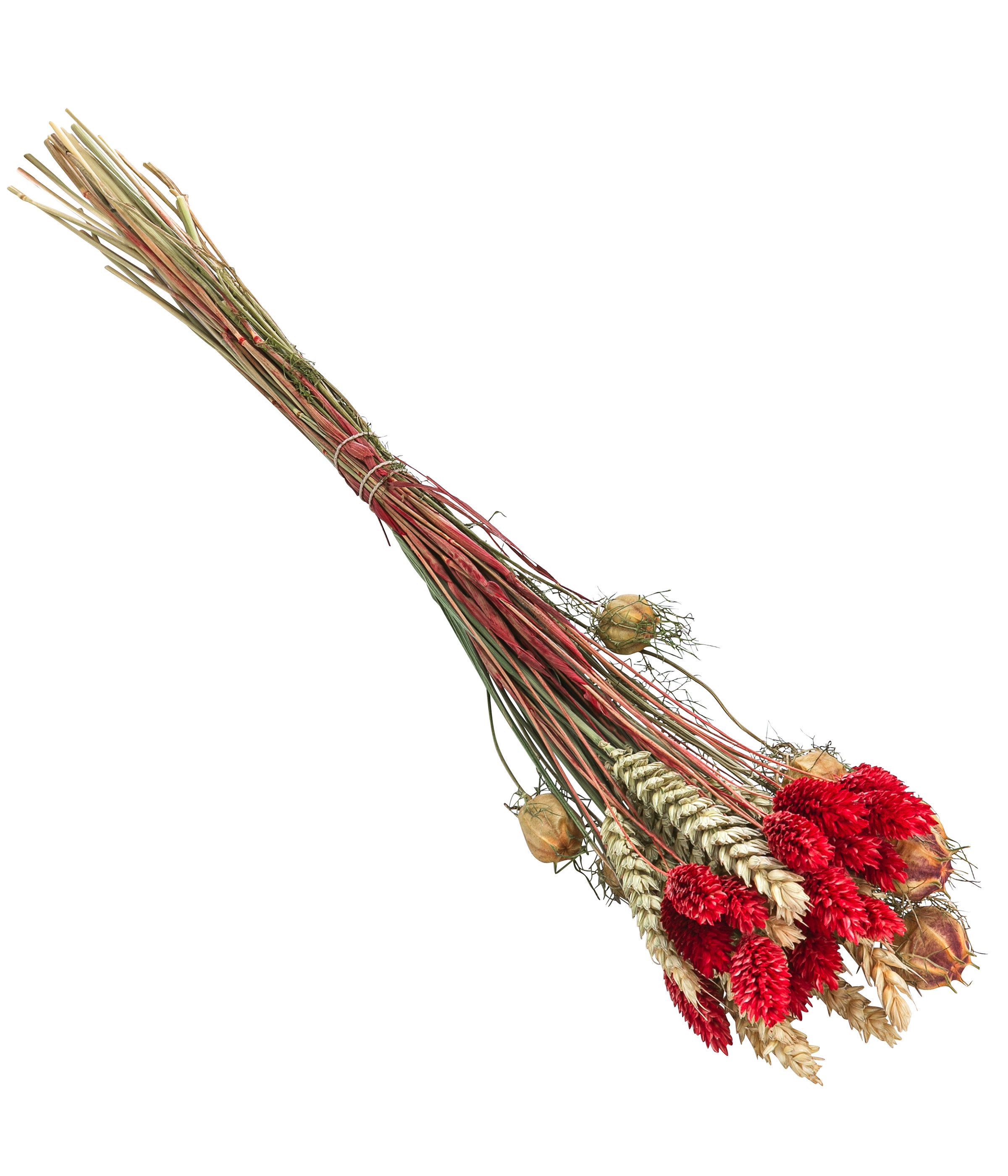 Trockenblume Blumenstrauß Luna aus Blumen und Gräsern, Länge 40 cm, rot Keine Angabe, Dehner, handgefertigtes farblich abgestimmtes Bouquet, auch für DIY-Projekte