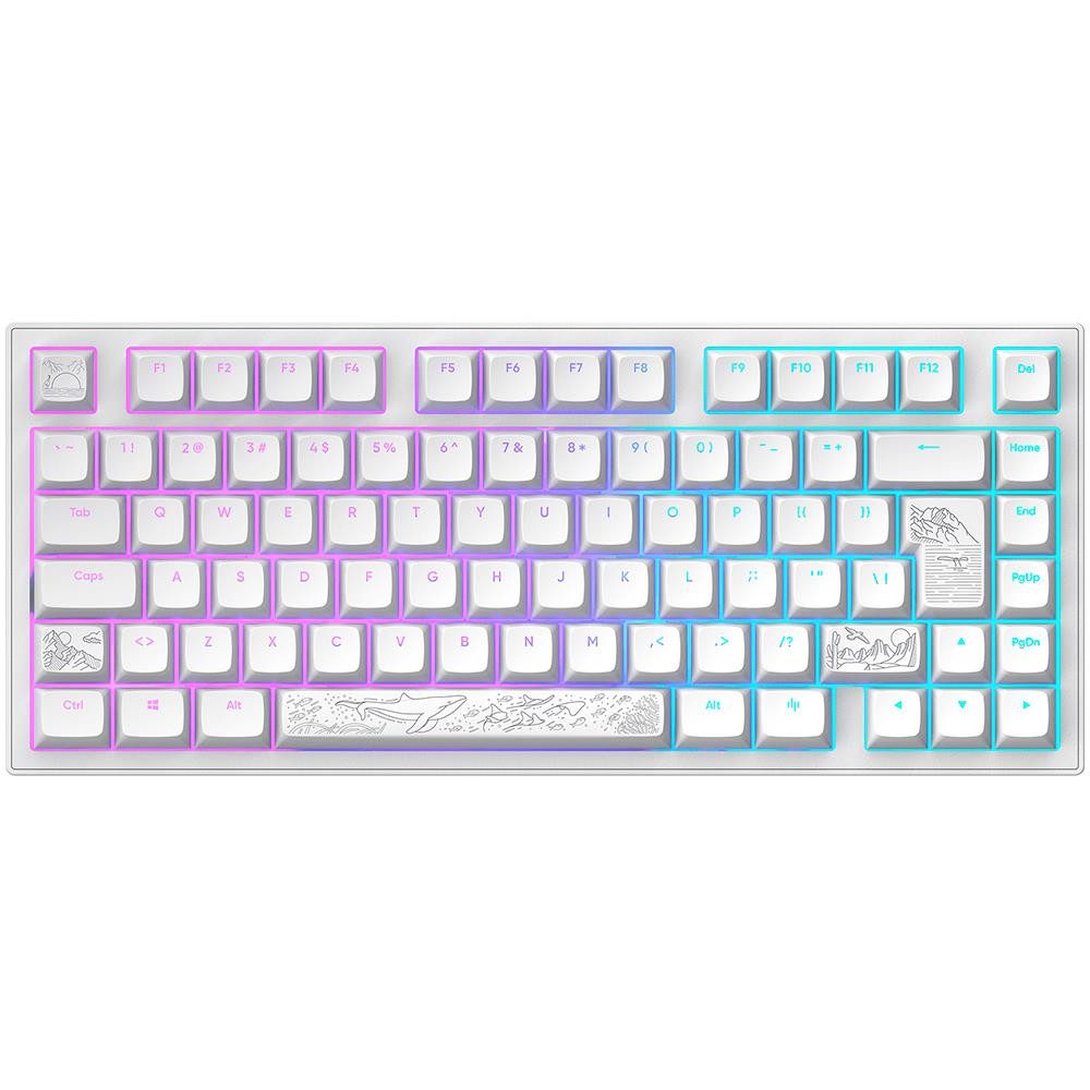 Dark Project ALU81A Terra Nostra White Premium Mechanische Tastatur Aluminium Gaming-Tastatur (Mechanisch, Hot-Swap, Anti-Ghosting, RBG, mehrsprachig, lineare Tasten)
