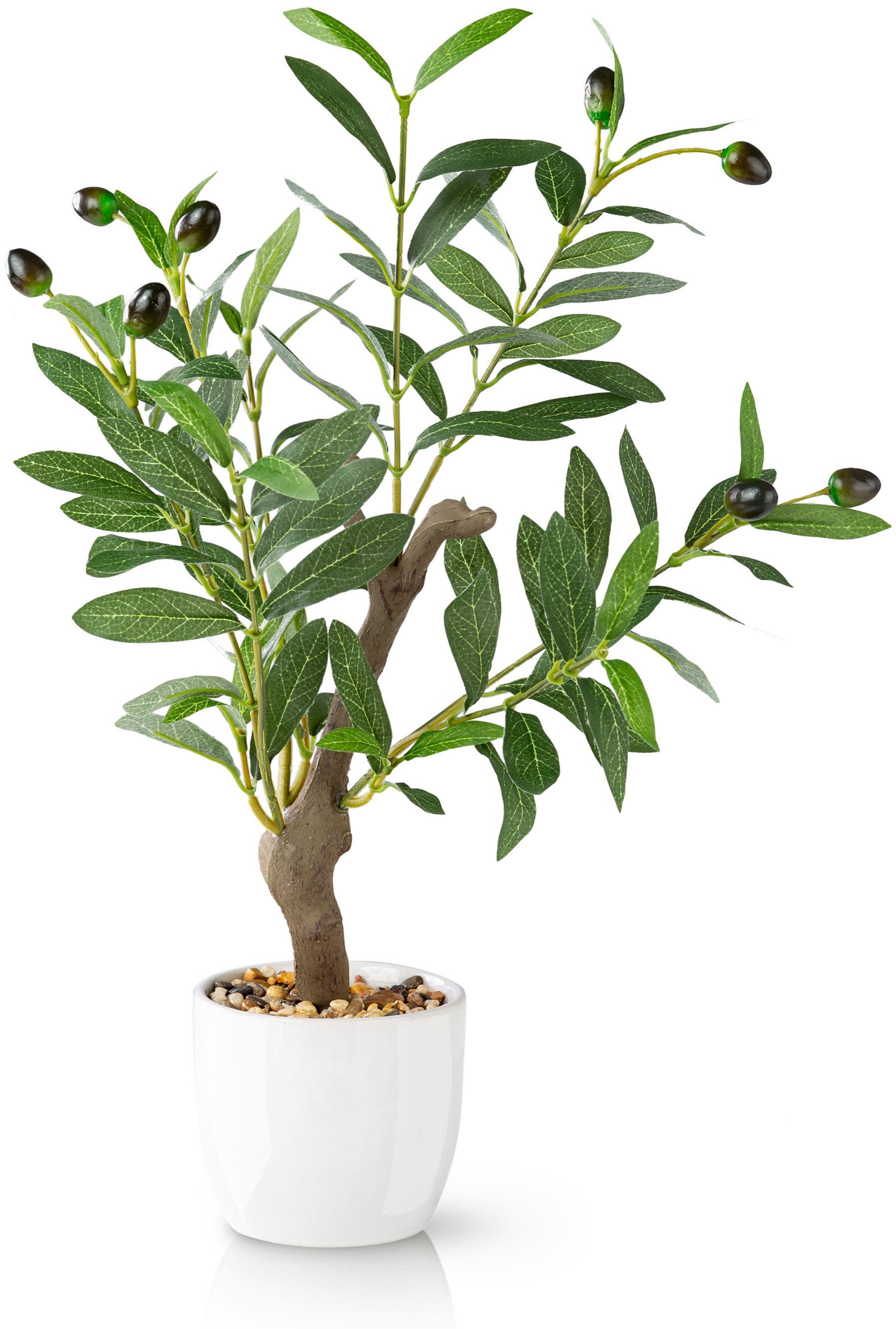 Kunstpflanze Olivenbaum künstlich klein, Kunstpflanzen wie echt Olive, PASCH