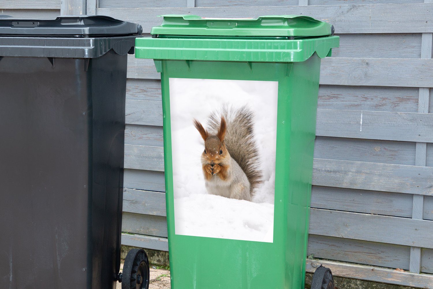 Mülleimer-aufkleber, - (1 Tier St), Eichhörnchen Mülltonne, Sticker, MuchoWow Abfalbehälter Container, Schnee - Wandsticker