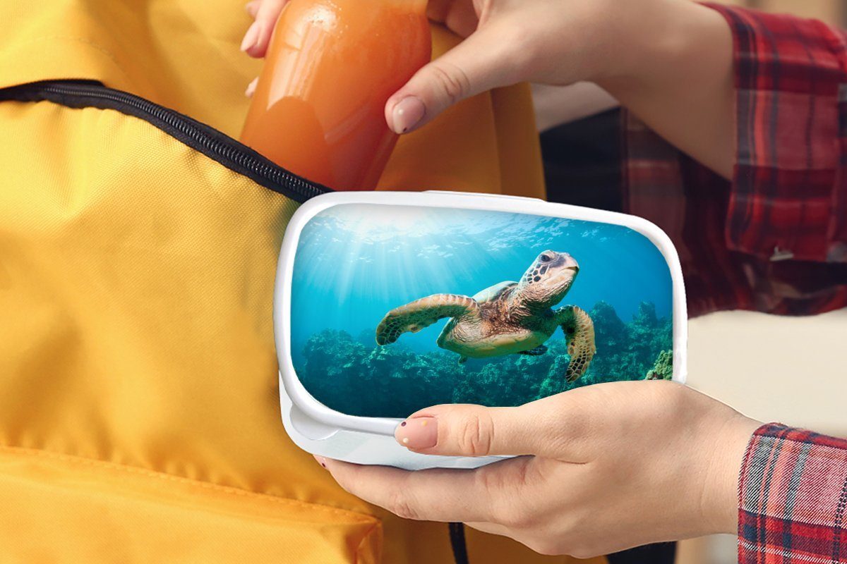 Schildkröte für (2-tlg), Brotbox Fotodruck, Kunststoff, für Brotdose, Schwimmende Jungs Erwachsene, Lunchbox Kinder und weiß Mädchen MuchoWow und