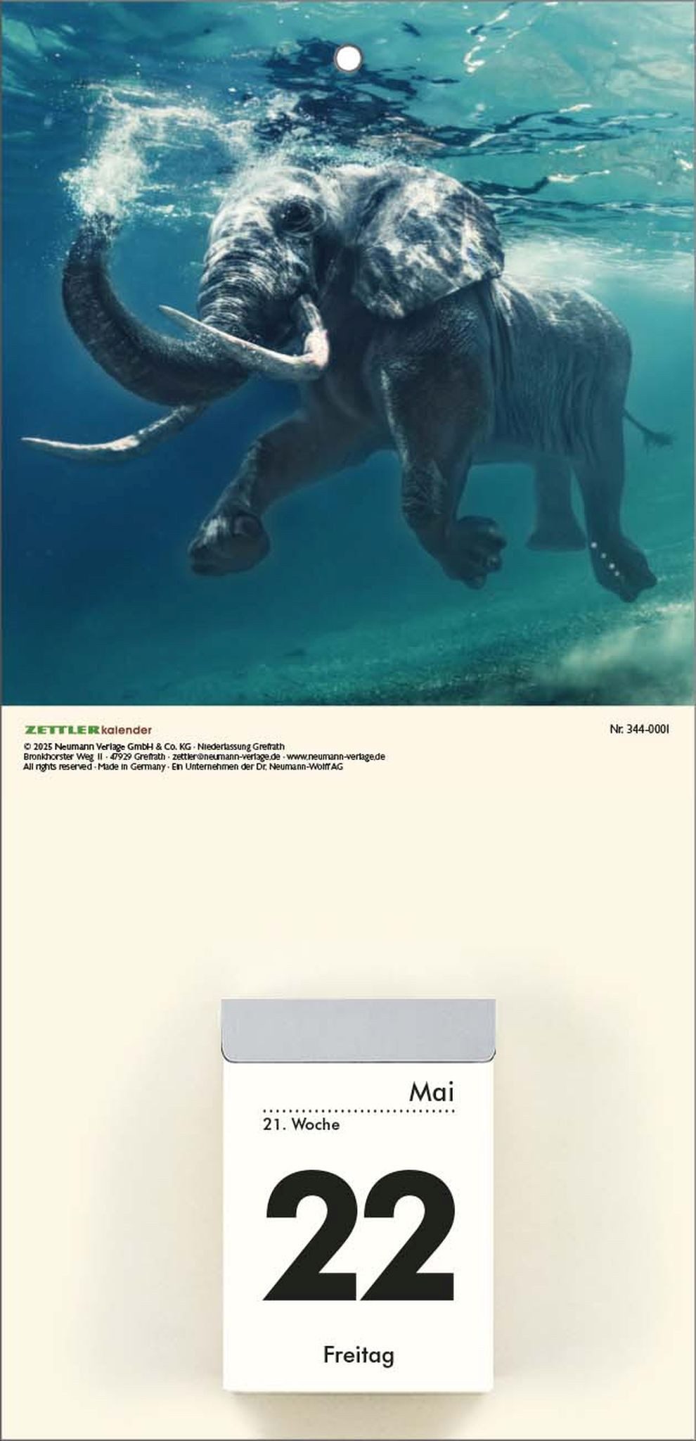 NEUMANN Wandkalender 2026 Zettler Bildrückwände für Typ 301/302 Tieremotive sortiert