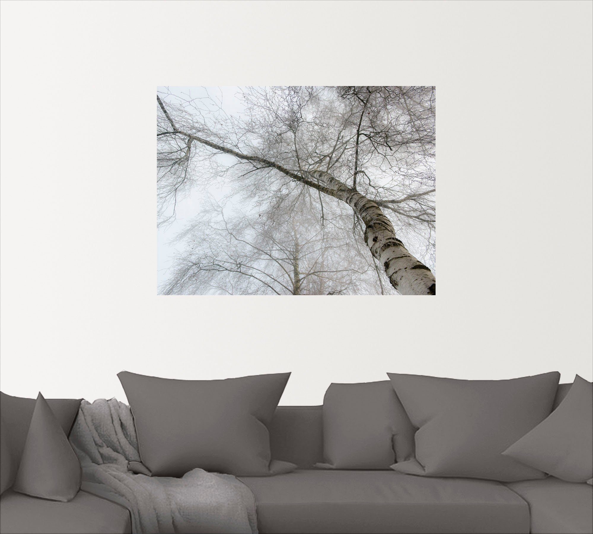 Artland Wandbild Winter Birke, Bäume in Wandaufkleber als (1 oder St), Größen Poster versch. Leinwandbild