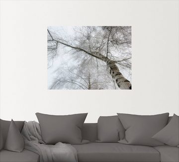 Artland Wandbild Winter Birke, Bäume (1 St), als Leinwandbild, Wandaufkleber in verschied. Größen