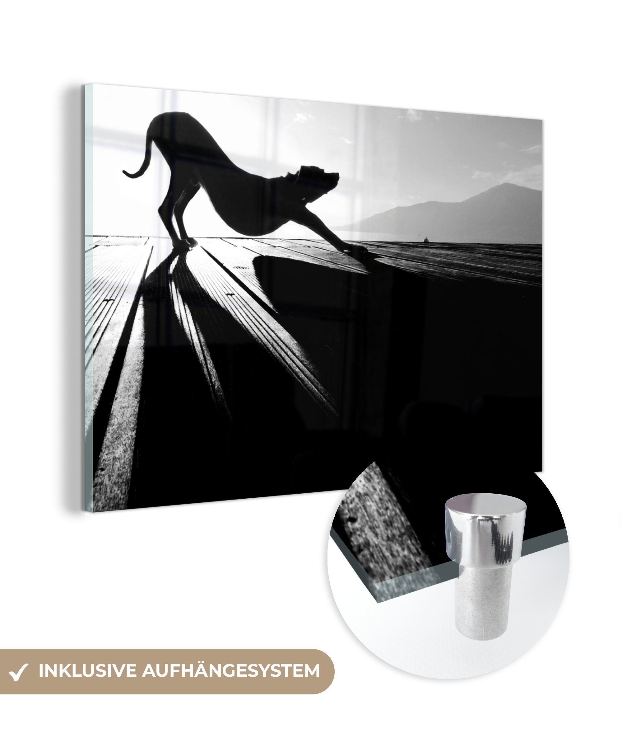 MuchoWow Acrylglasbild Tiere - Silhouette - Schwarz - Berge, (1 St), Acrylglasbilder Wohnzimmer & Schlafzimmer