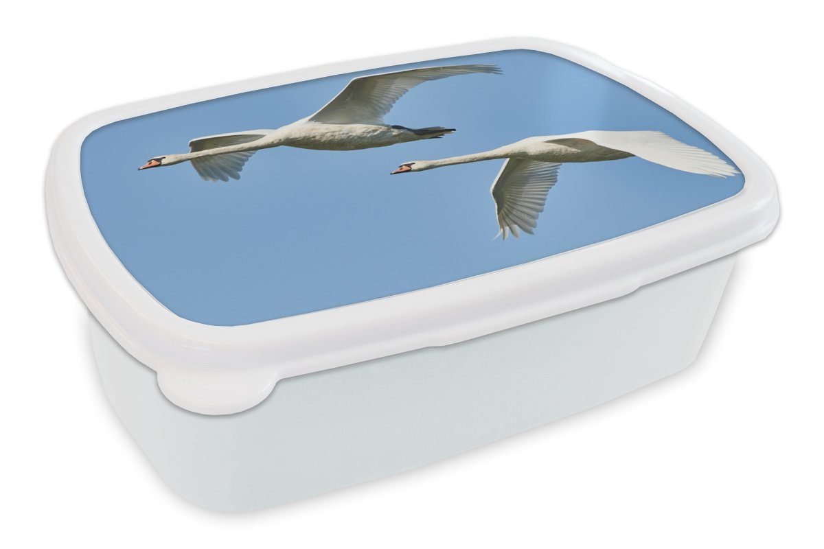 - Brotdose, - Kunststoff, (2-tlg), Schwan für Lunchbox MuchoWow Himmel für Blau, und und - Erwachsene, weiß Vogel Mädchen Kinder Brotbox Jungs
