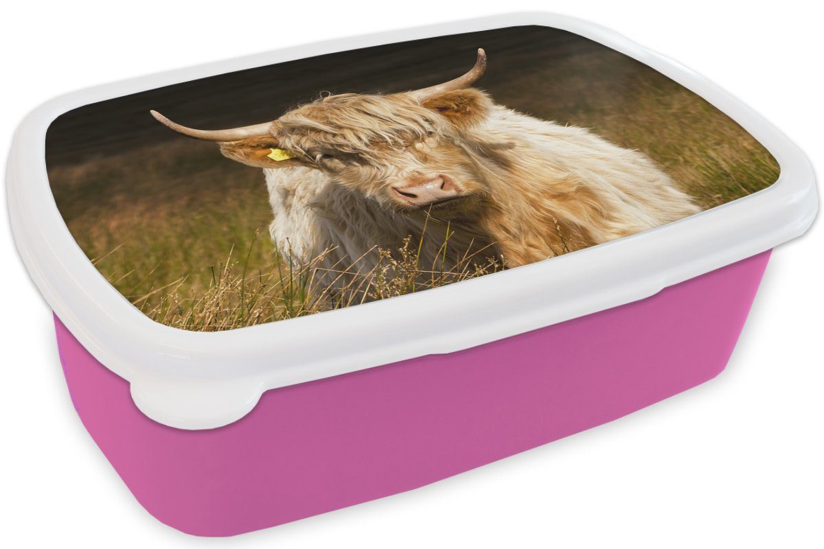 Lunchbox Highlander Kunststoff, - Brotdose Brotbox Snackbox, Schottische Mädchen, für Tiere, Licht - Erwachsene, (2-tlg), MuchoWow rosa - Gras Kinder, Kunststoff