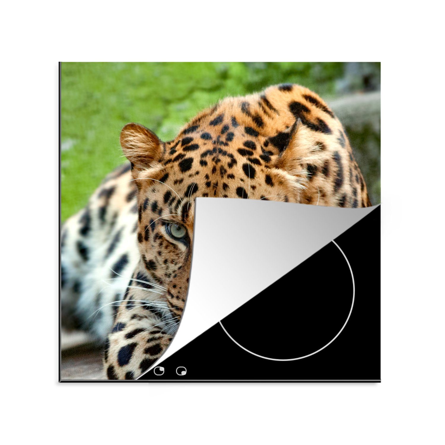 MuchoWow Herdblende-/Abdeckplatte Panther - Jagd - Muster, Vinyl, (1 tlg), 78x78 cm, Ceranfeldabdeckung, Arbeitsplatte für küche
