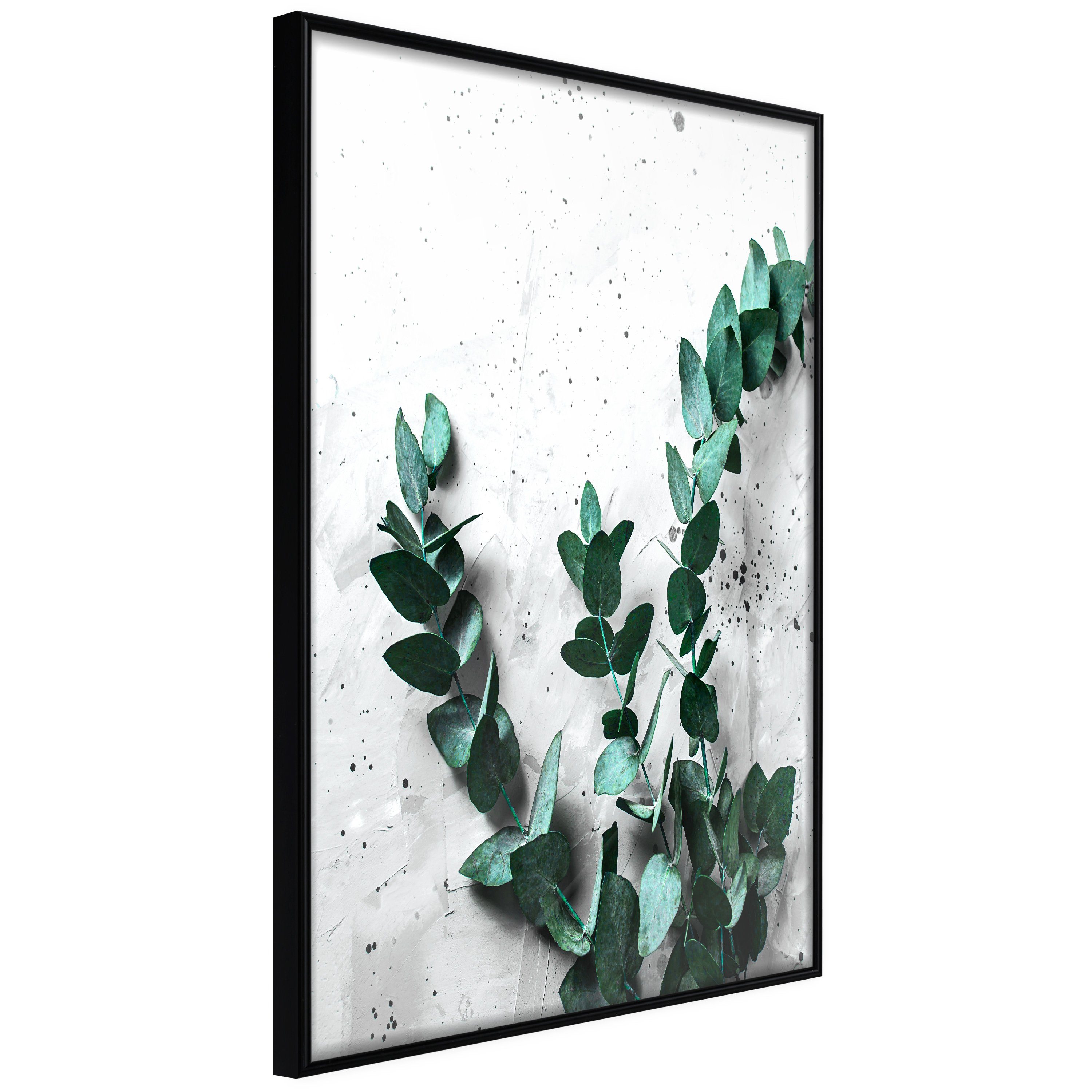 Artgeist Poster Eucalyptus Scent []