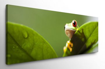 möbel-direkt.de Leinwandbild Bilder XXL Frosch grün mit Blättern Wandbild auf Leinwand