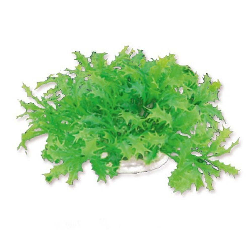 Happet Aquariendeko Aquarium Wasserpflanzen Kunststoff Aquarien Kunst Pflanze 10 cm