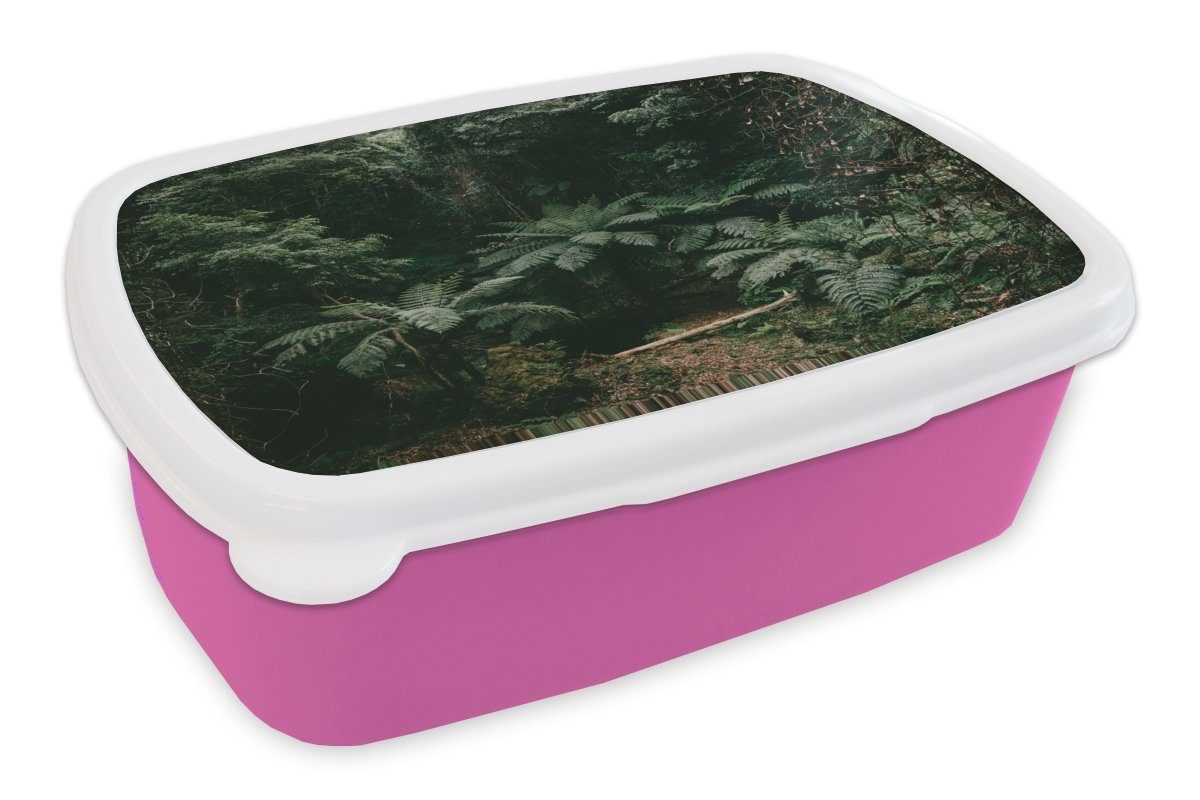 Brotdose im rosa Lunchbox Mädchen, Regenwald, Kinder, Brotbox Kunststoff, Kunststoff (2-tlg), Snackbox, MuchoWow Farne Erwachsene, für japanischen