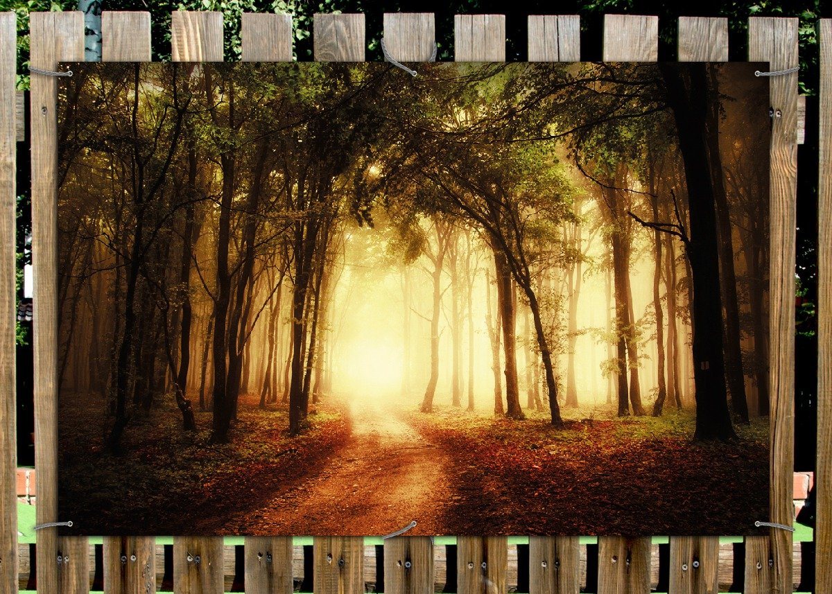 Thumbnail - Wallario Sichtschutzzaunmatten Sonnenuntergang auf dem Waldweg